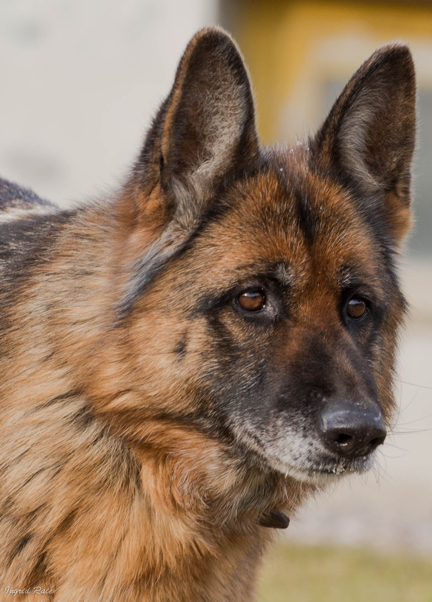 Nikon D7200 sample photo. Jessika flutwelle year (of ) photography