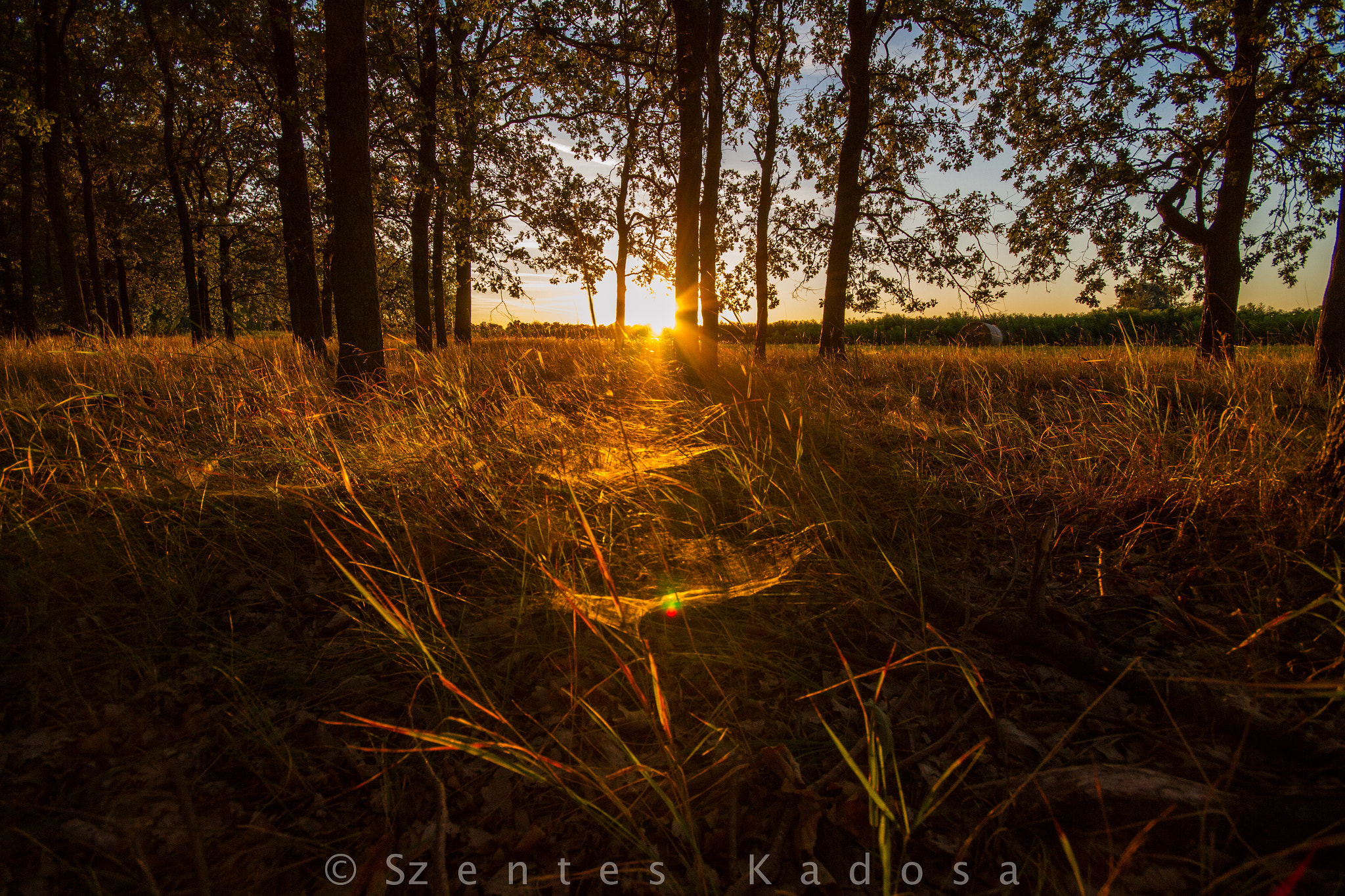 Canon EOS 7D + Sigma 10-20mm F4-5.6 EX DC HSM sample photo. Sunset photography