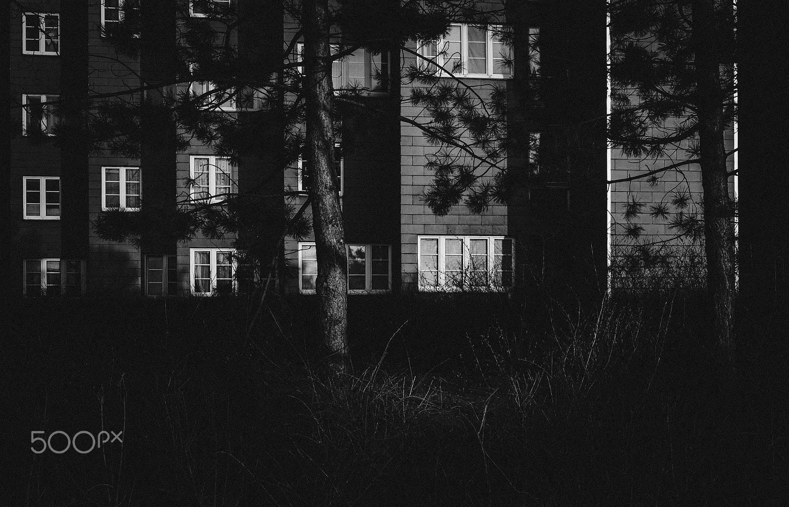 Summicron-M 1:2/35 ASPH. sample photo. Vienna x. photography