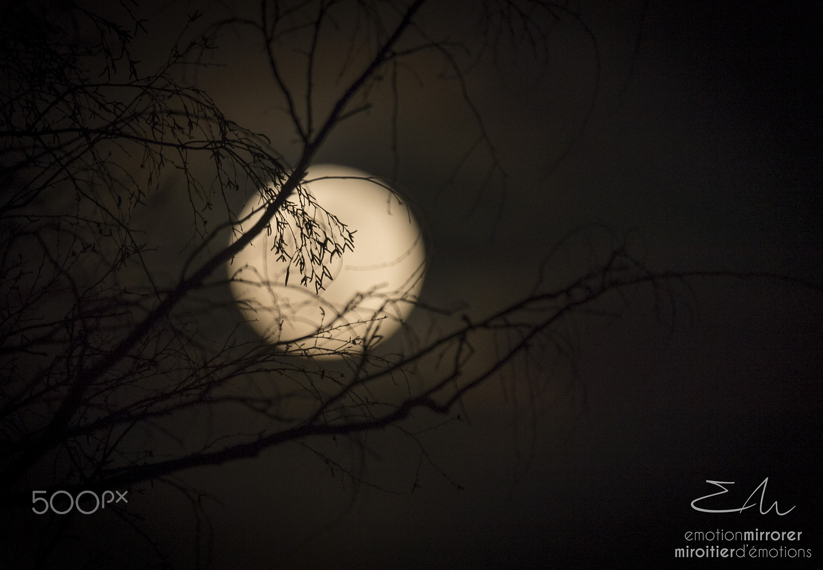 Sigma 150-600mm F5-6.3 DG OS HSM | S sample photo. Shadows on the moon photography