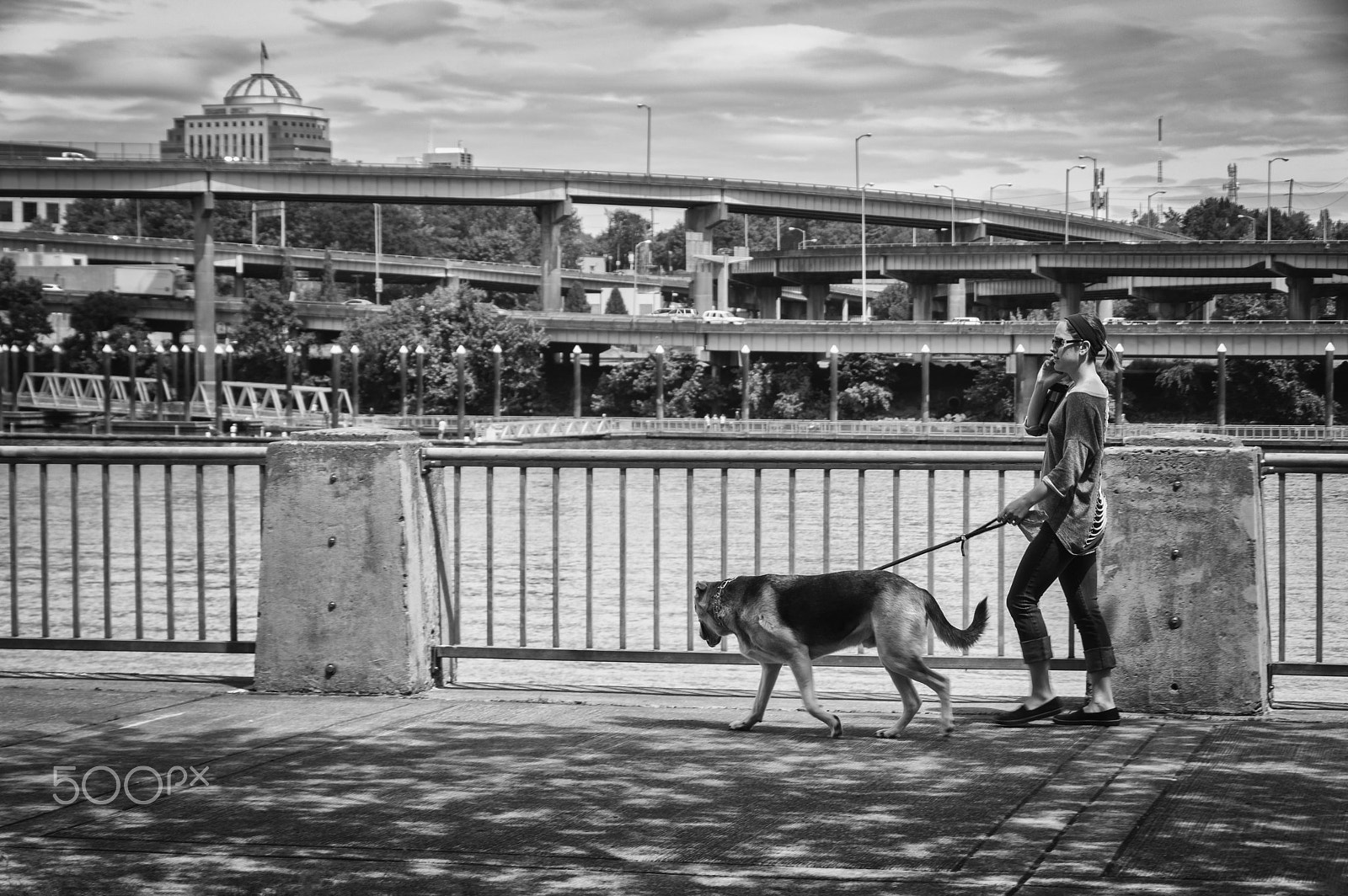 Pentax K-3 + Pentax smc DA 18-135mm F3.5-5.6ED AL [IF] DC WR sample photo. Portland dog walker photography