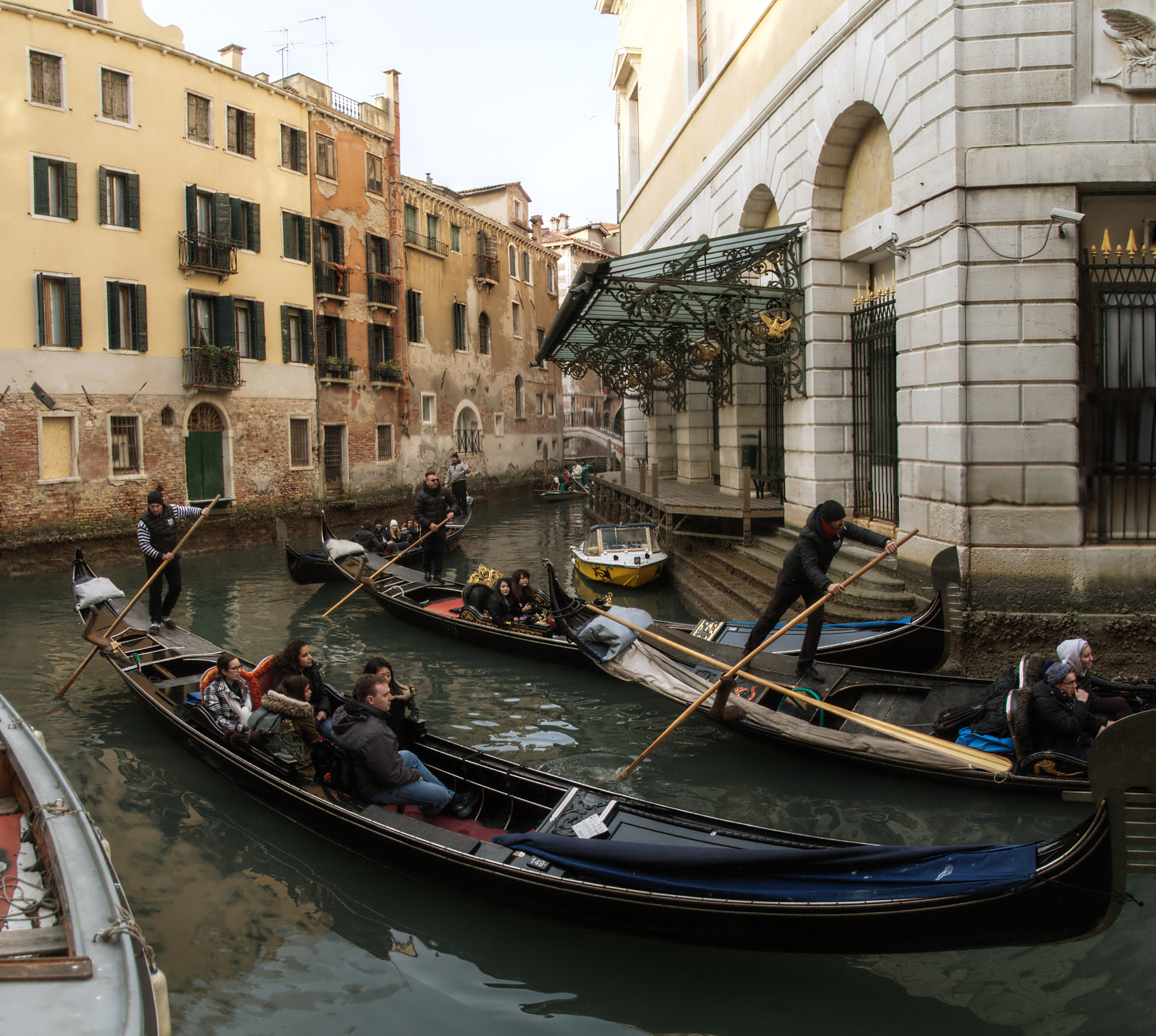 Nikon D300 sample photo. Gondola mating season photography