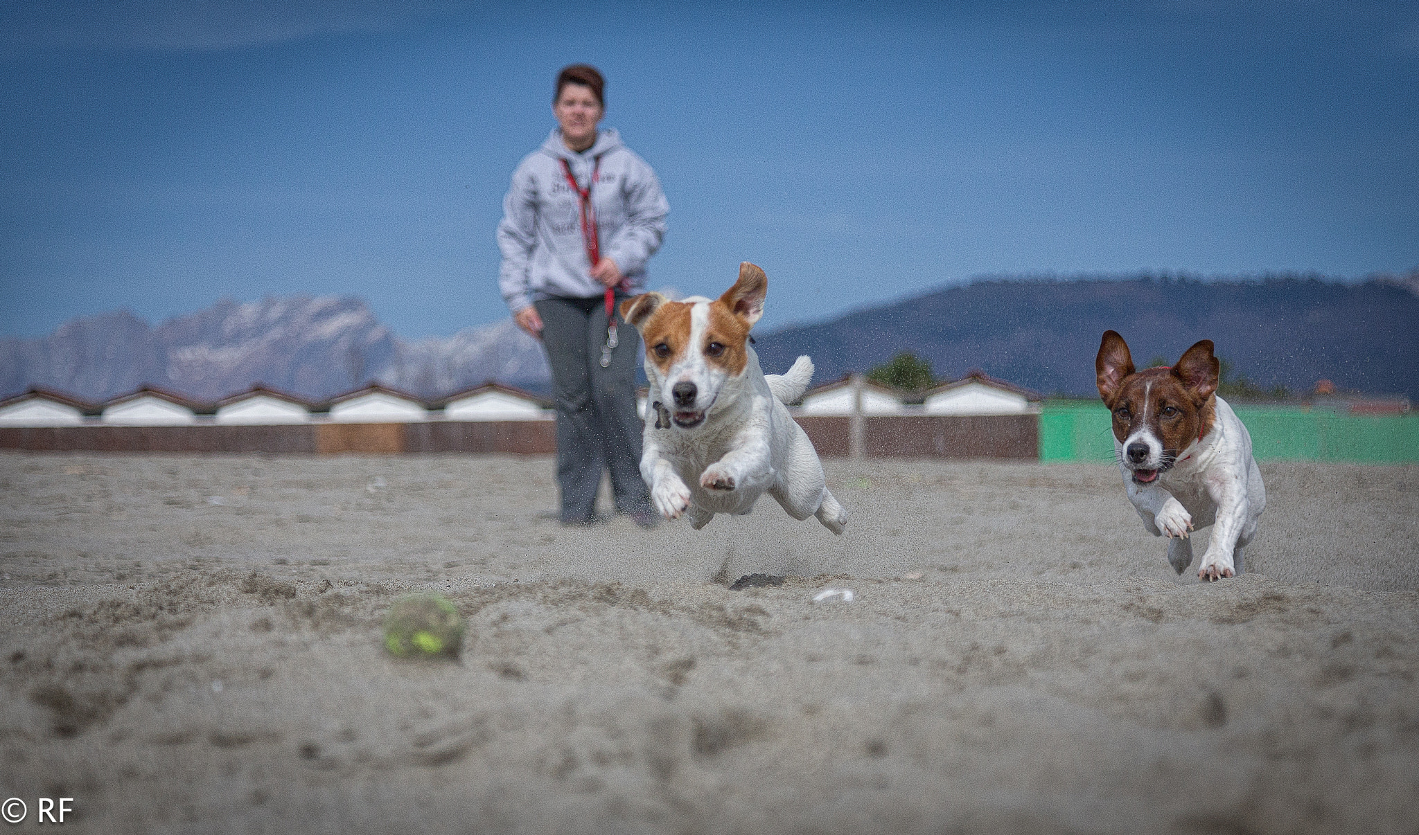 Canon EOS-1D X sample photo. Jack run photography