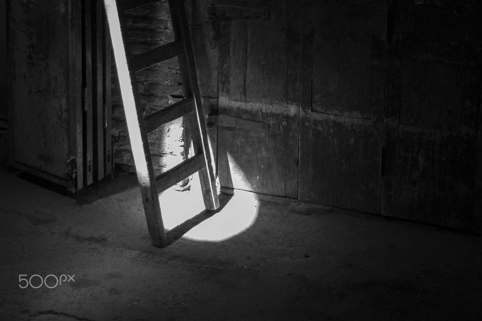 Nikon D3200 sample photo. To the light photography