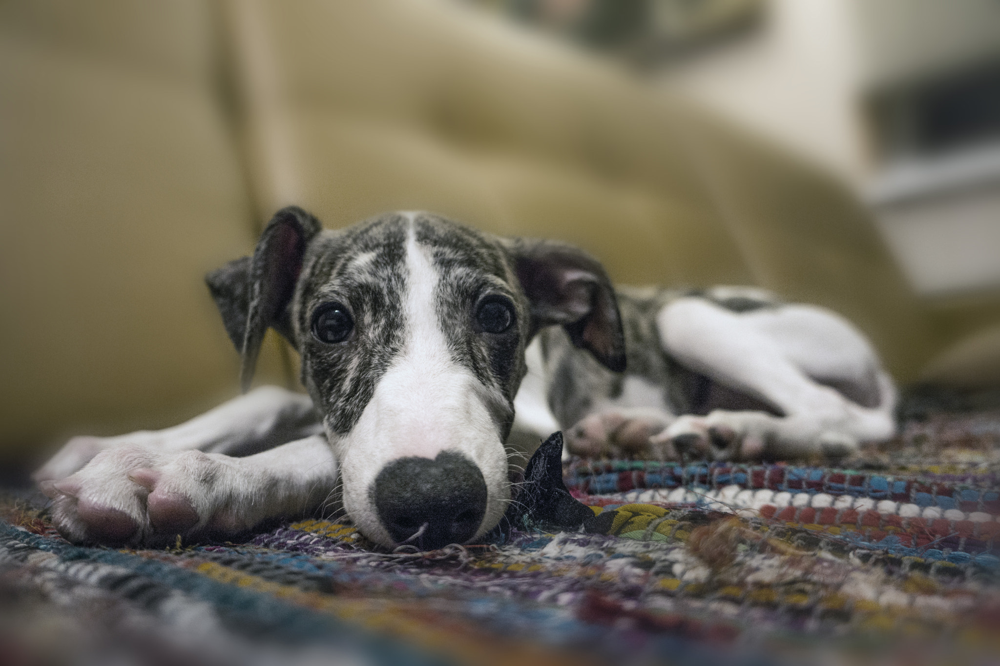Sony Alpha NEX-7 + Sony E 18-55mm F3.5-5.6 OSS sample photo. Adrey photography
