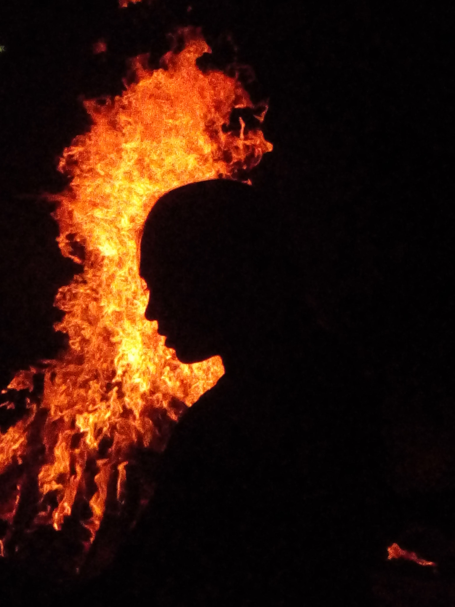 Micromax A316 sample photo. The flaming lady photography