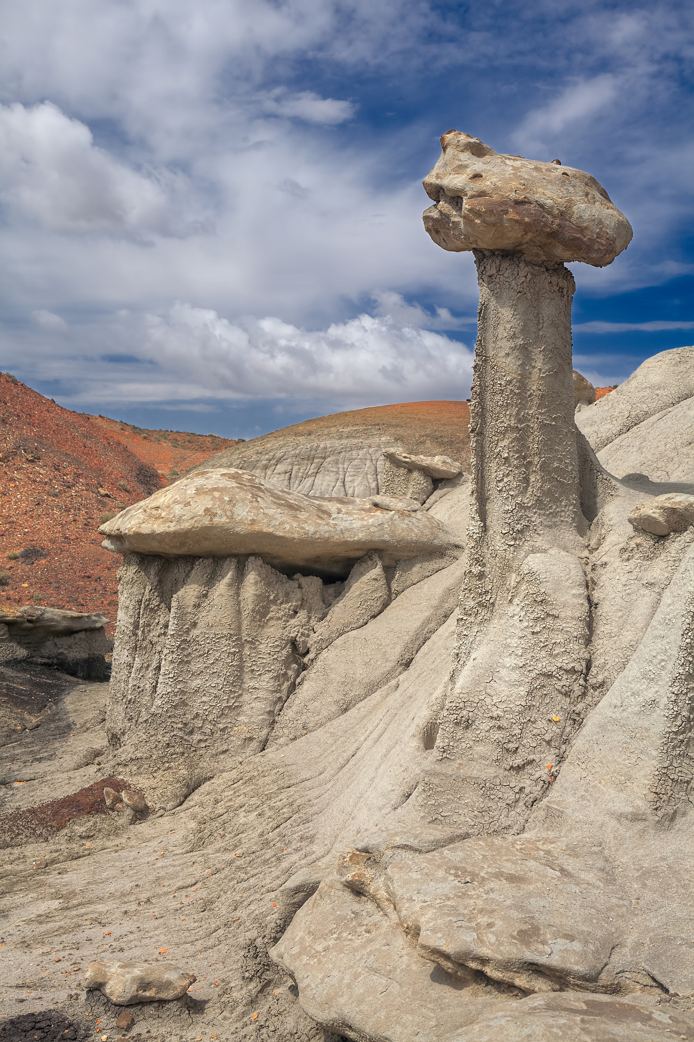 Canon EOS 5D + Canon EF 24-70mm F2.8L USM sample photo. Bisti/de-na-zin wilderness photography