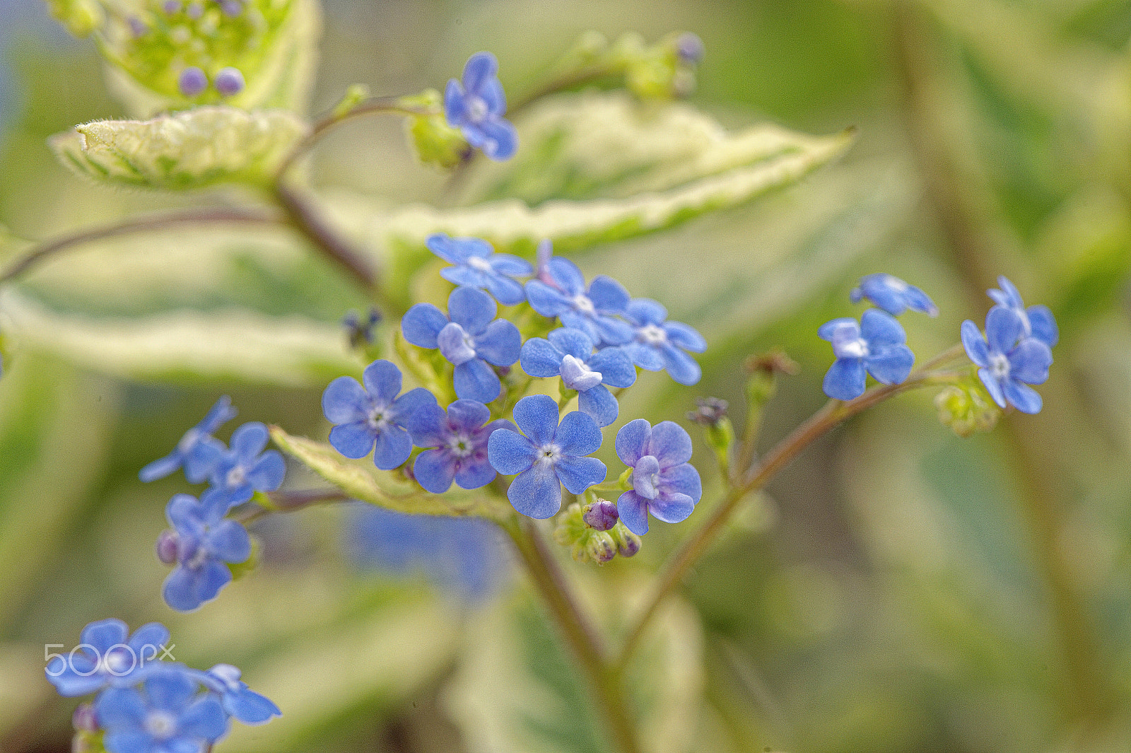 Nikon AF-S Micro-Nikkor 105mm F2.8G IF-ED VR sample photo. Aérienne photography
