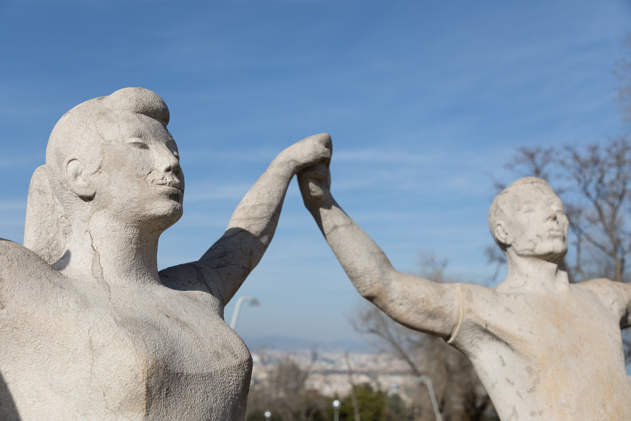 Canon EF 24-105mm F4L IS II USM sample photo. Monument a la sardana photography