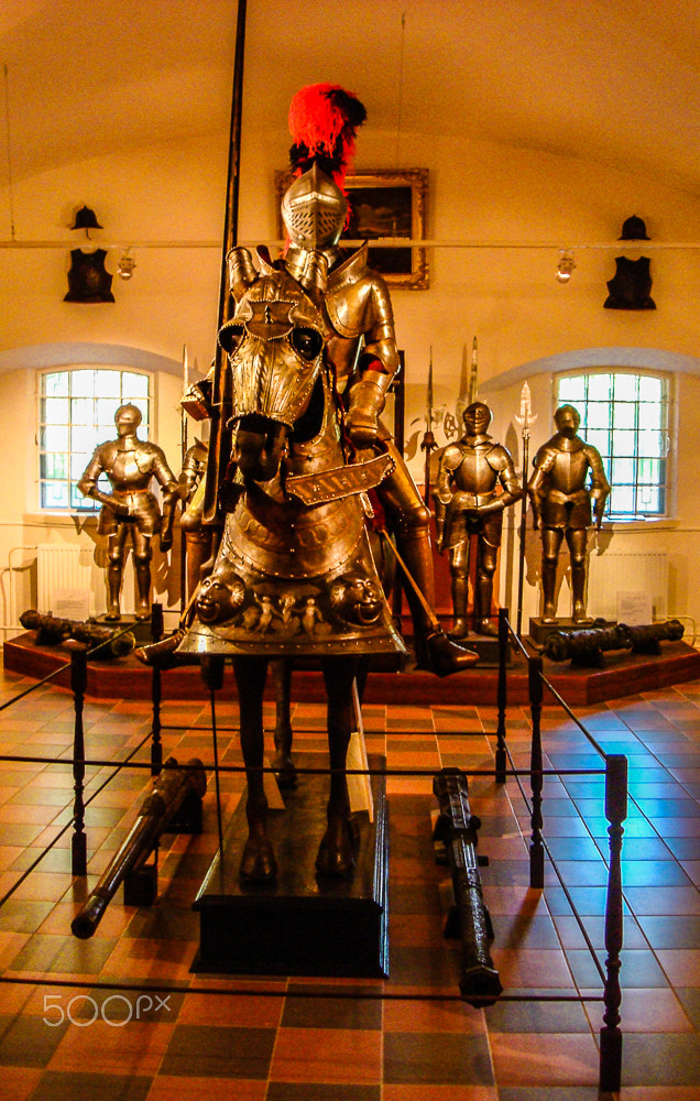 Sony DSC-W90 sample photo. Knight and attendants photography
