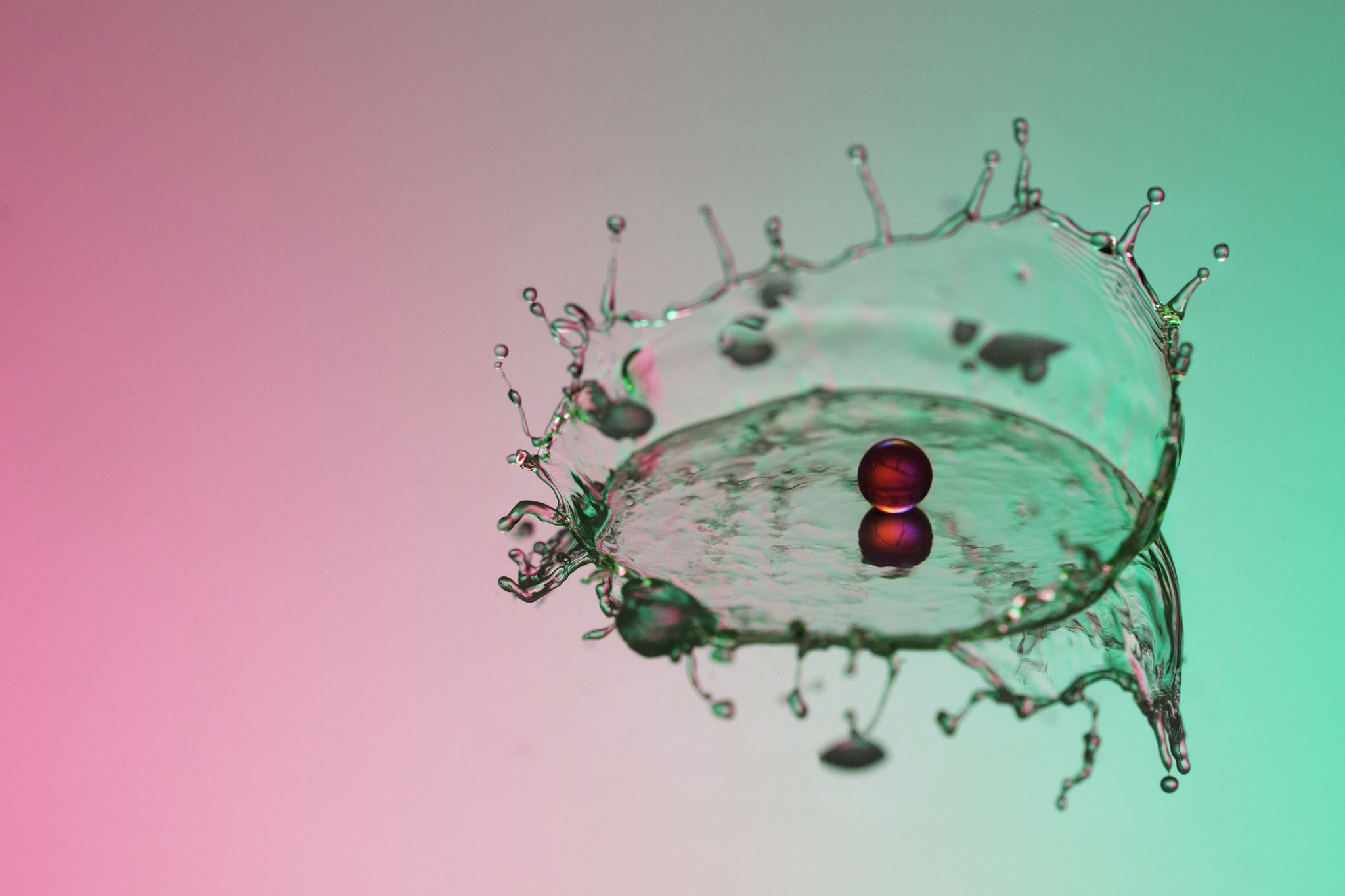 Canon EF 100mm F2.8 Macro USM sample photo. Levitation 1 photography