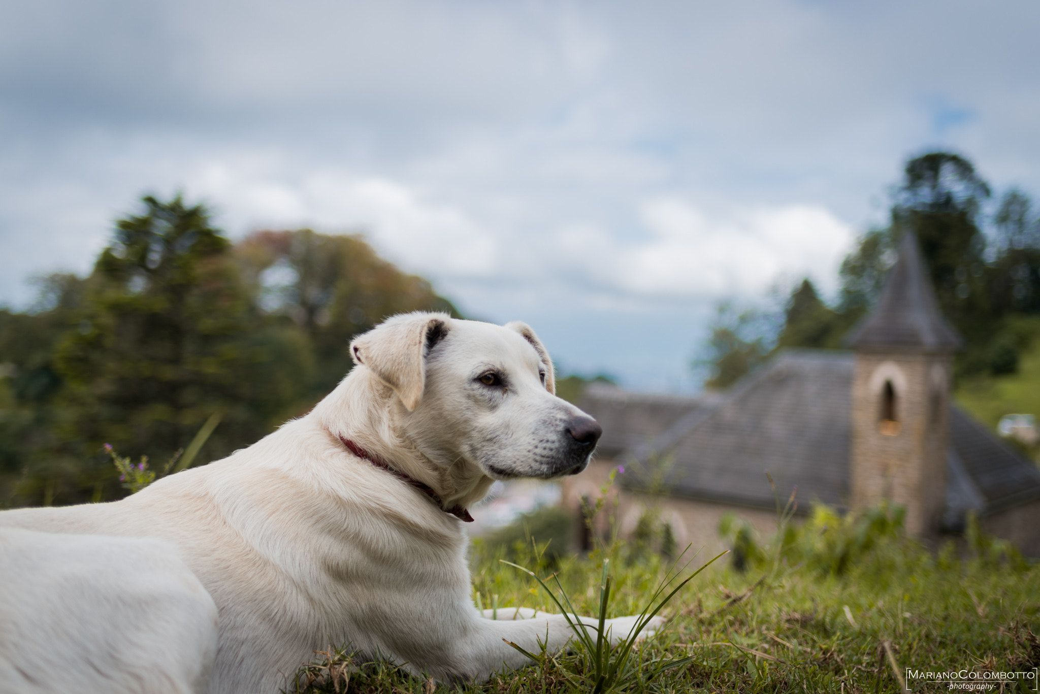 Nikon D610 + Nikon AF-S Nikkor 35mm F1.8G ED sample photo. No threats photography