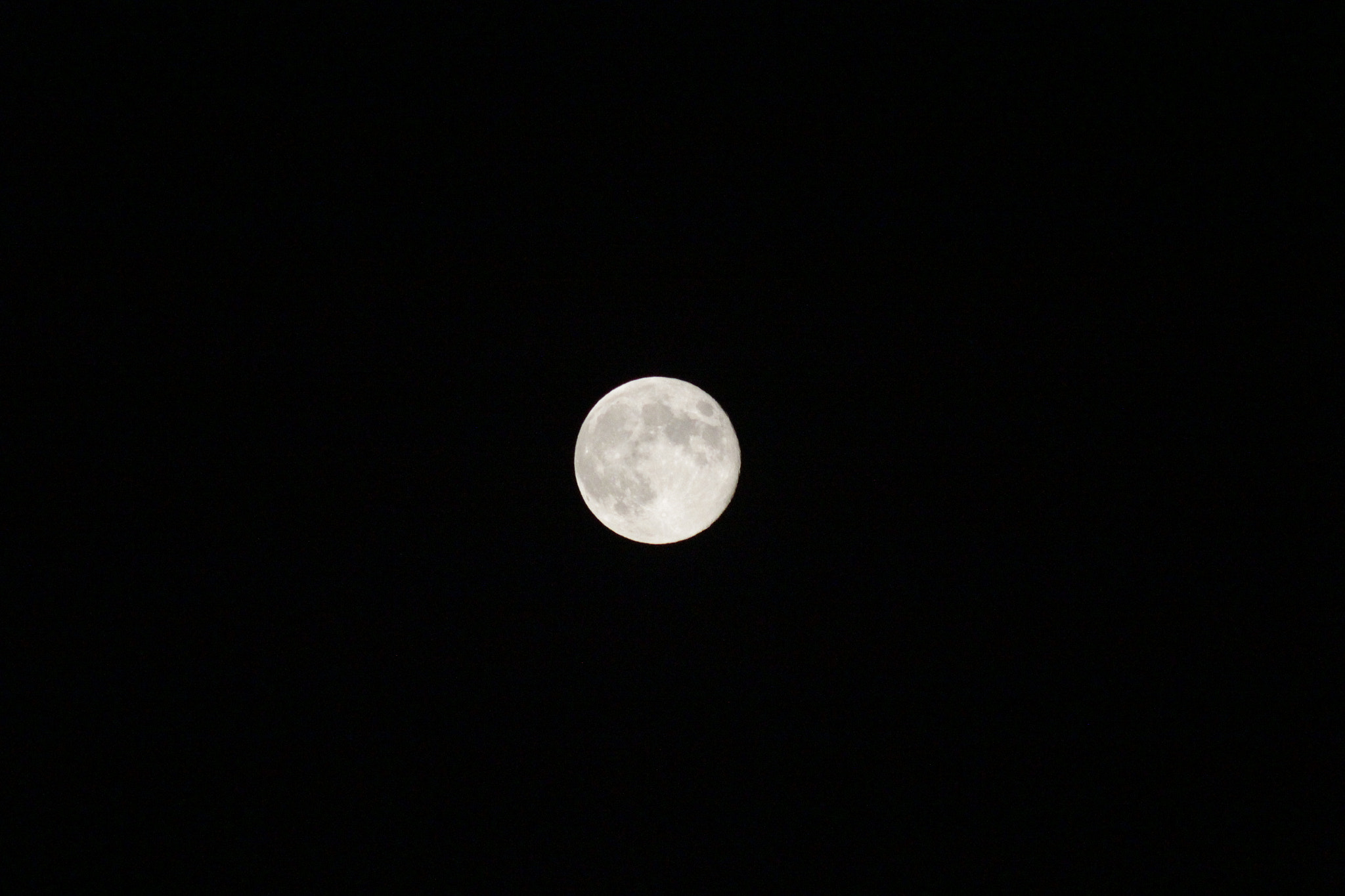 Canon EF 75-300mm F4.0-5.6 IS USM sample photo. Mg photography
