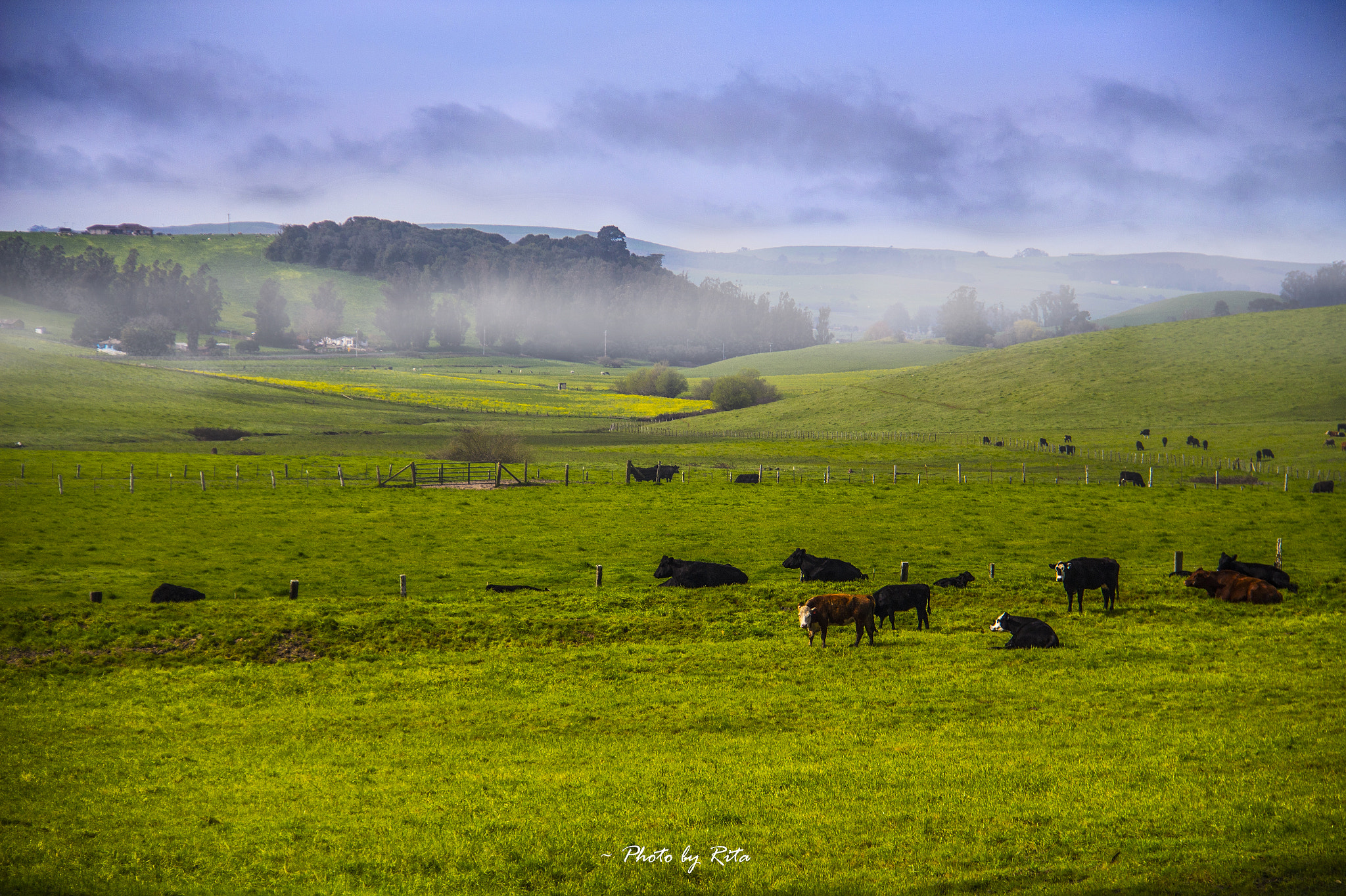 Canon EF-S 18-200mm F3.5-5.6 IS sample photo. The spring of the field photography