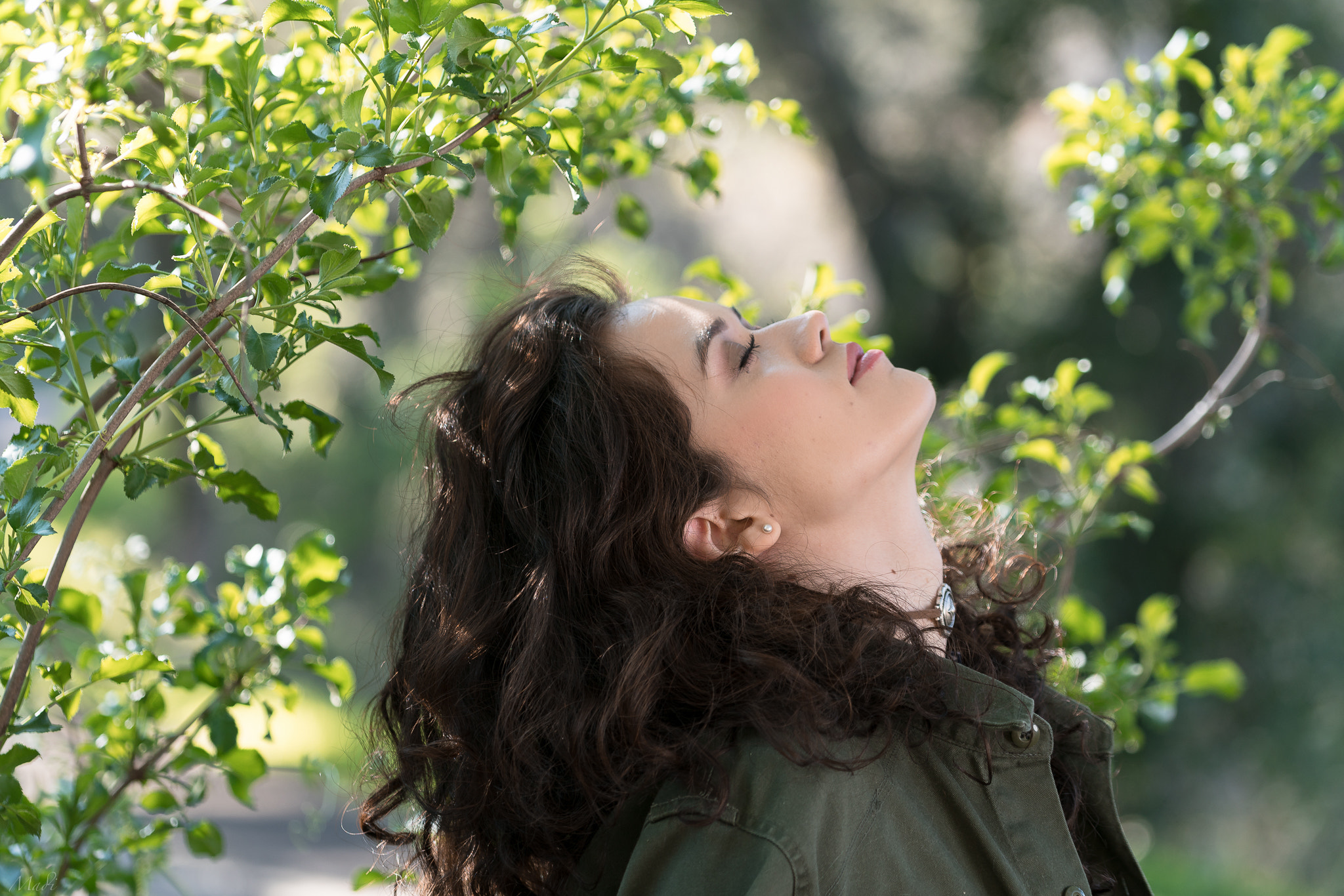 Sony a7R II + Sony FE 70-200mm F4 G OSS sample photo. The outdoors photography