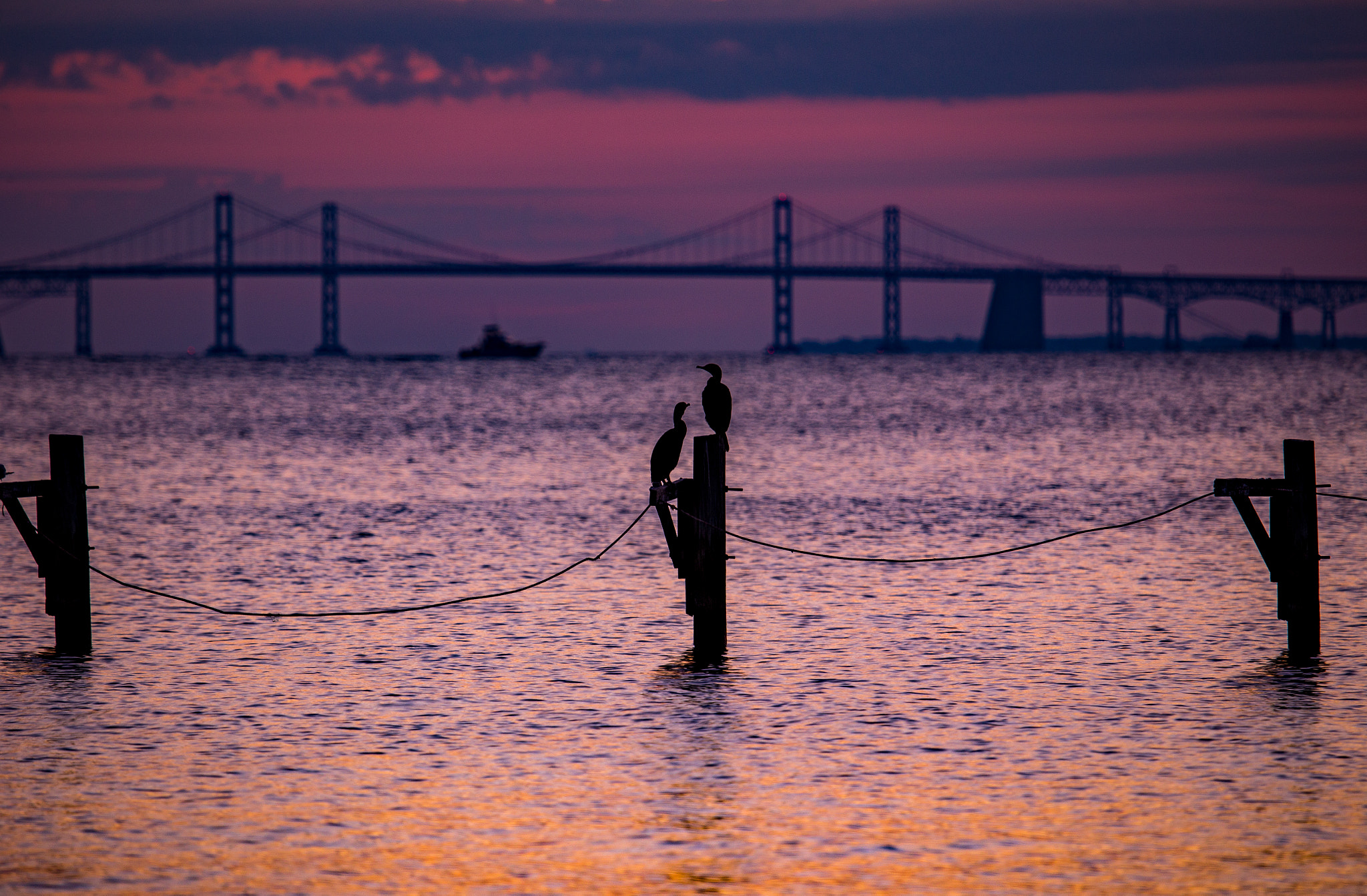 Canon EF 100-400mm F4.5-5.6L IS USM sample photo. Chesapeake bay sunrise photography