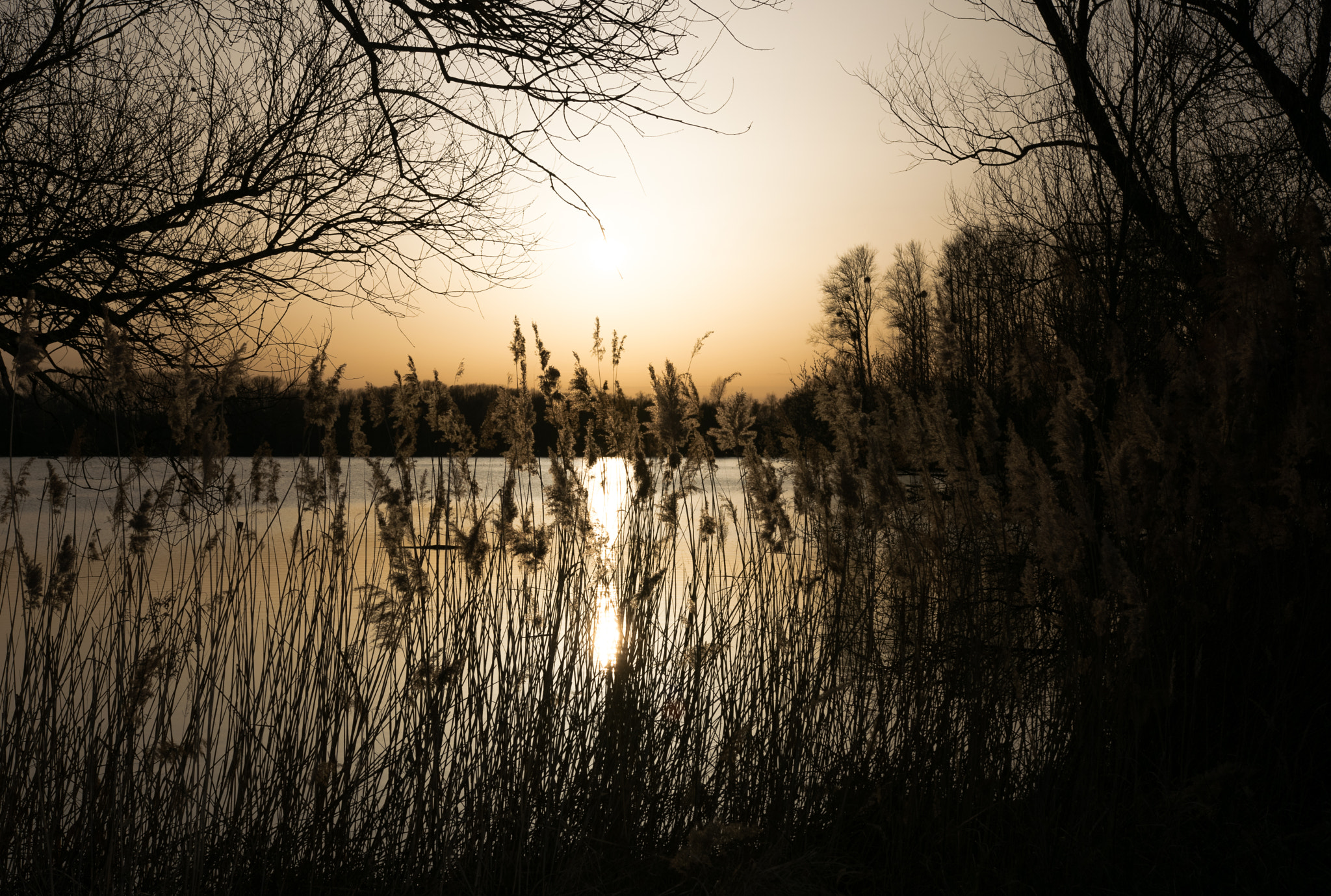 Sigma 18-35mm F1.8 DC HSM Art sample photo. Winter end photography