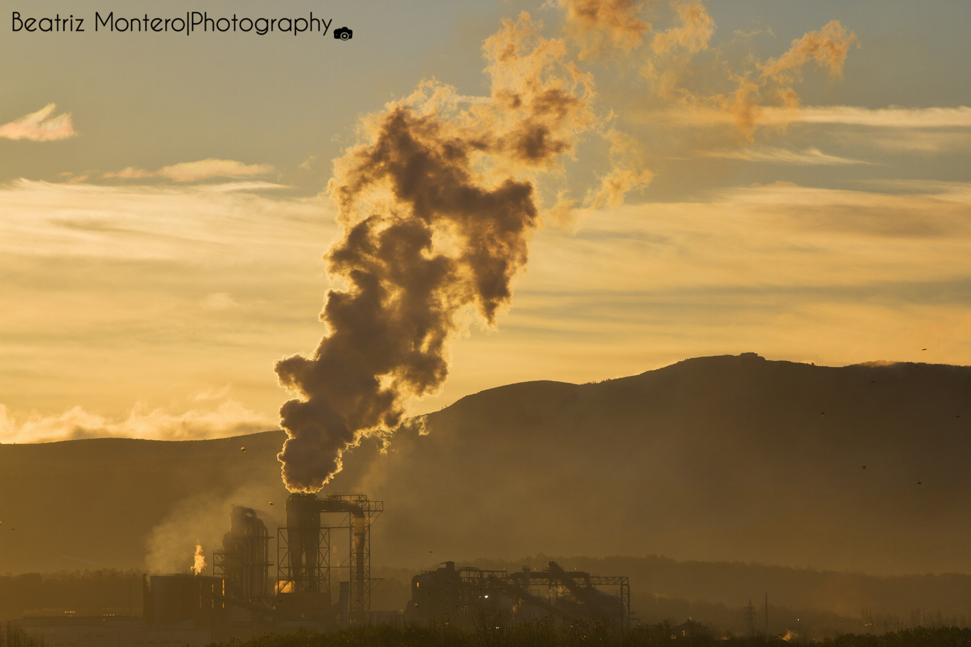 Canon EF-S 55-250mm F4-5.6 IS sample photo. A factory photography