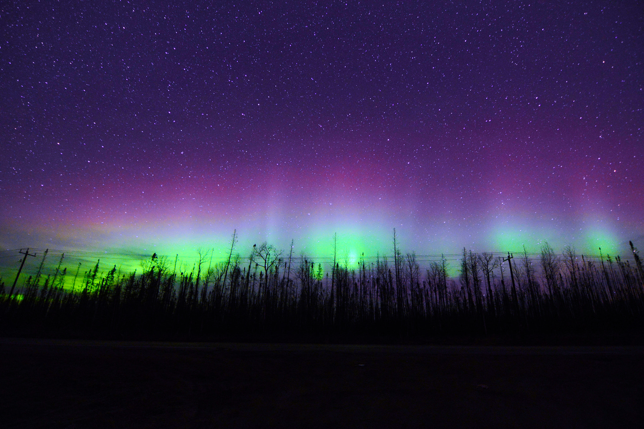 Nikon D800 sample photo. Northern lights over la ronge airport photography
