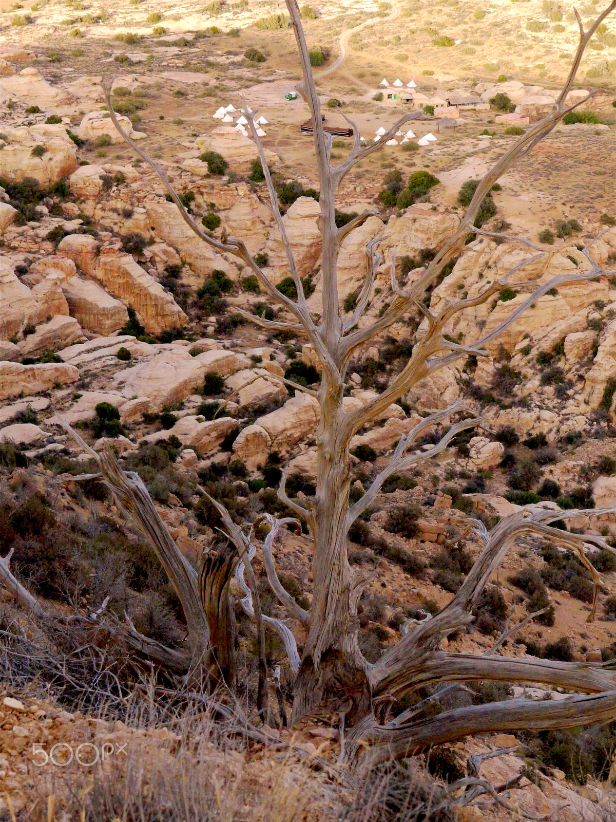 Panasonic Lumix DMC-G1 sample photo. Rumman camp (rscn), dana, jordan. photography