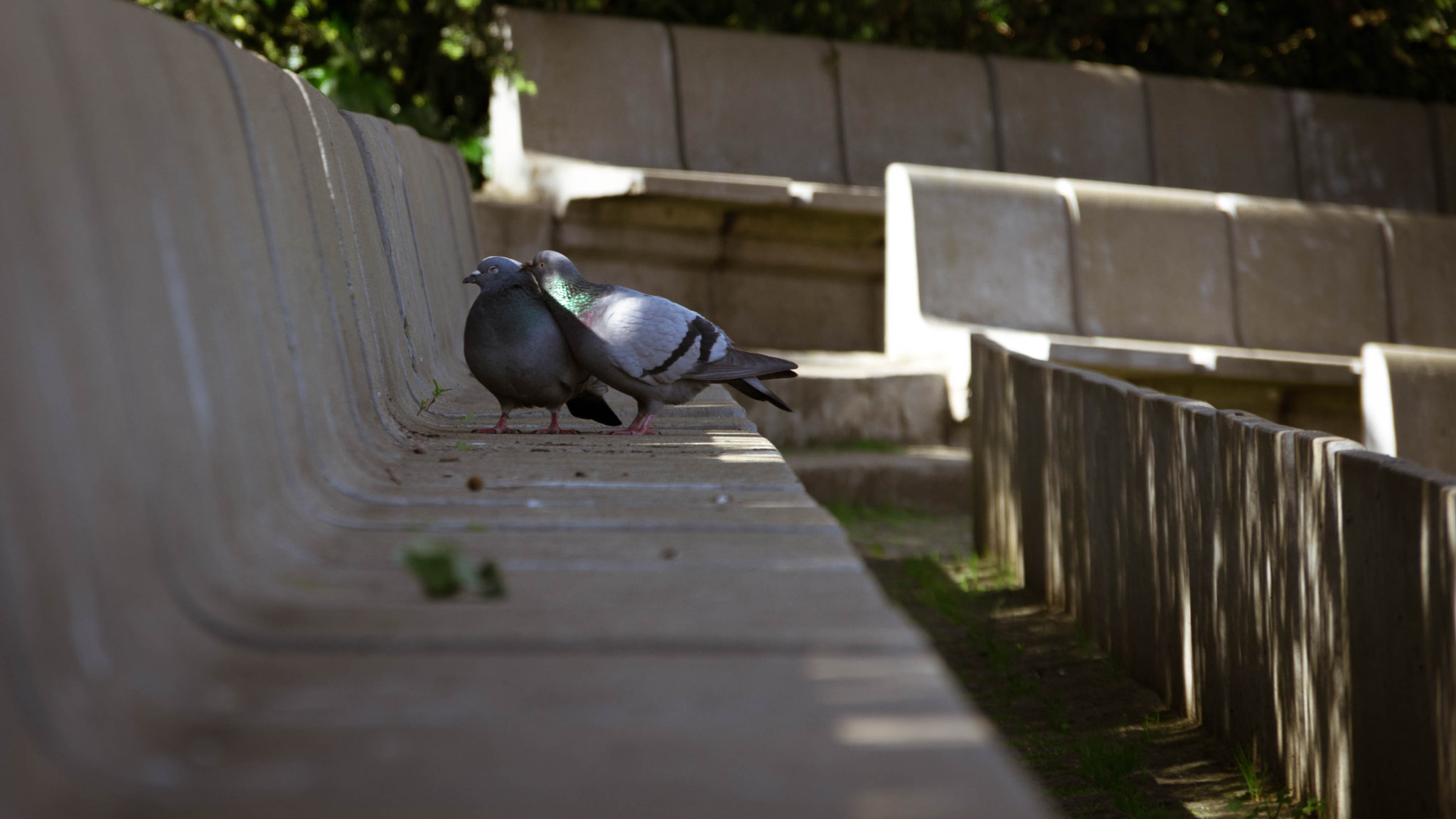 Pentax K-5 sample photo. Lovers photography