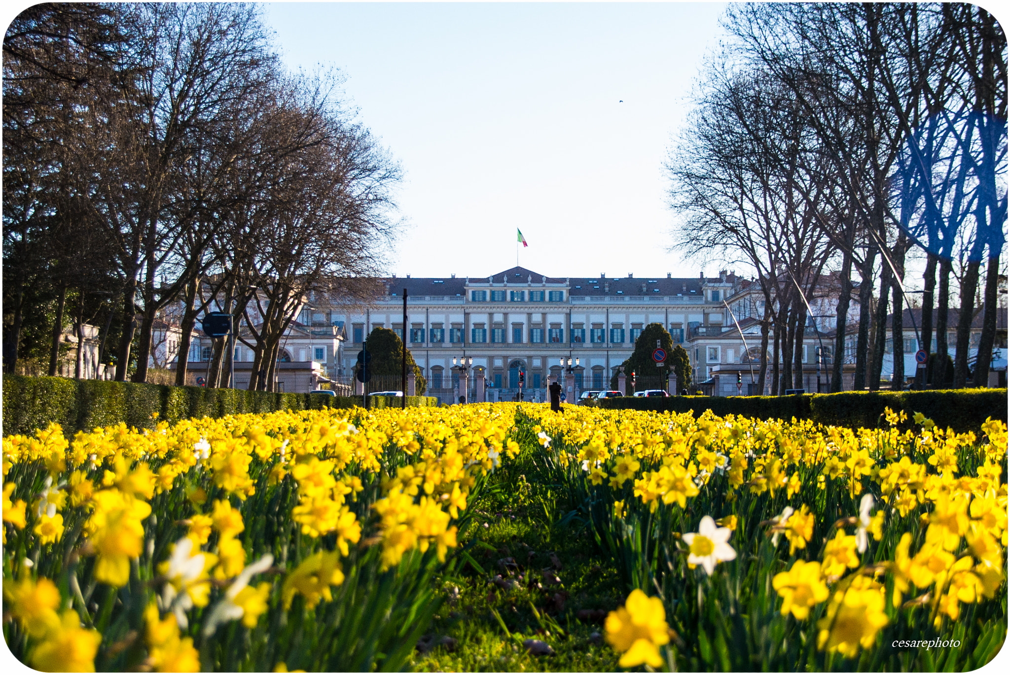 Nikon D4S + Sigma 18-200mm F3.5-6.3 DC OS HSM sample photo. Monza italy, villa reale photography