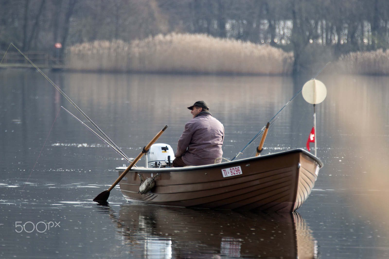 Canon EF 70-200mm F2.8L IS II USM sample photo. Der fischer photography
