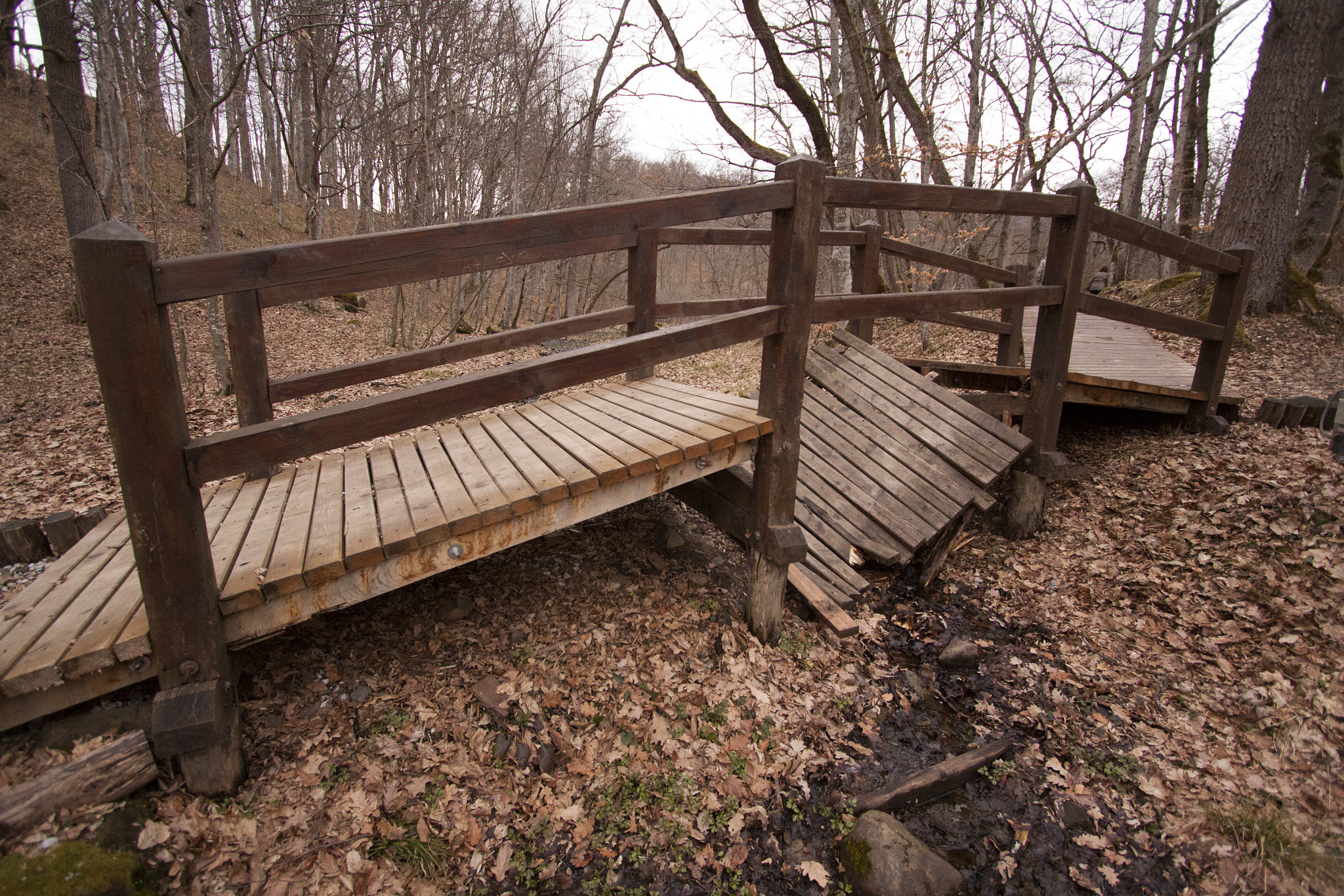Canon EF-S 10-22mm F3.5-4.5 USM sample photo. Bridge photography