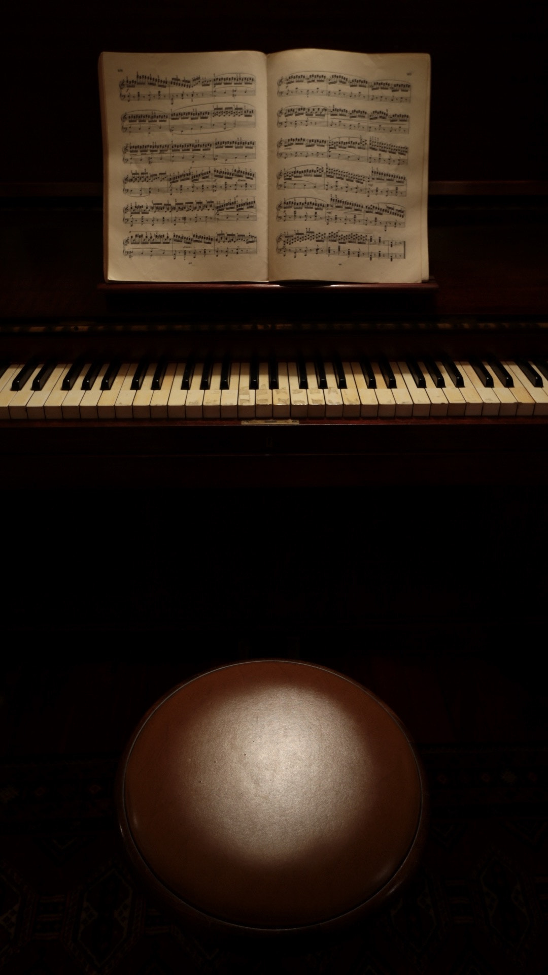 Canon EF-S 10-22mm F3.5-4.5 USM sample photo. Piano photography