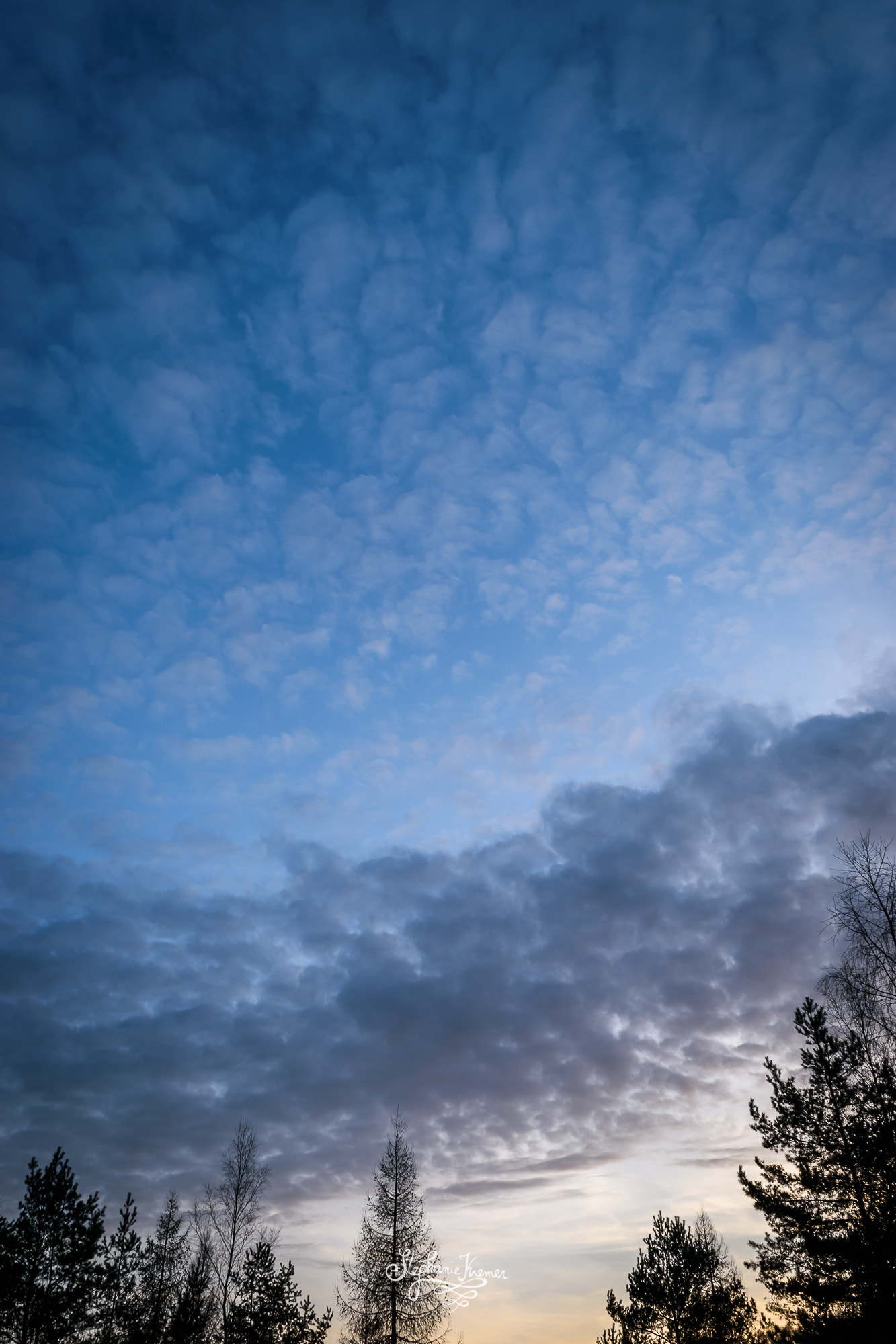 Nikon D5500 sample photo. Looking up to the sky photography