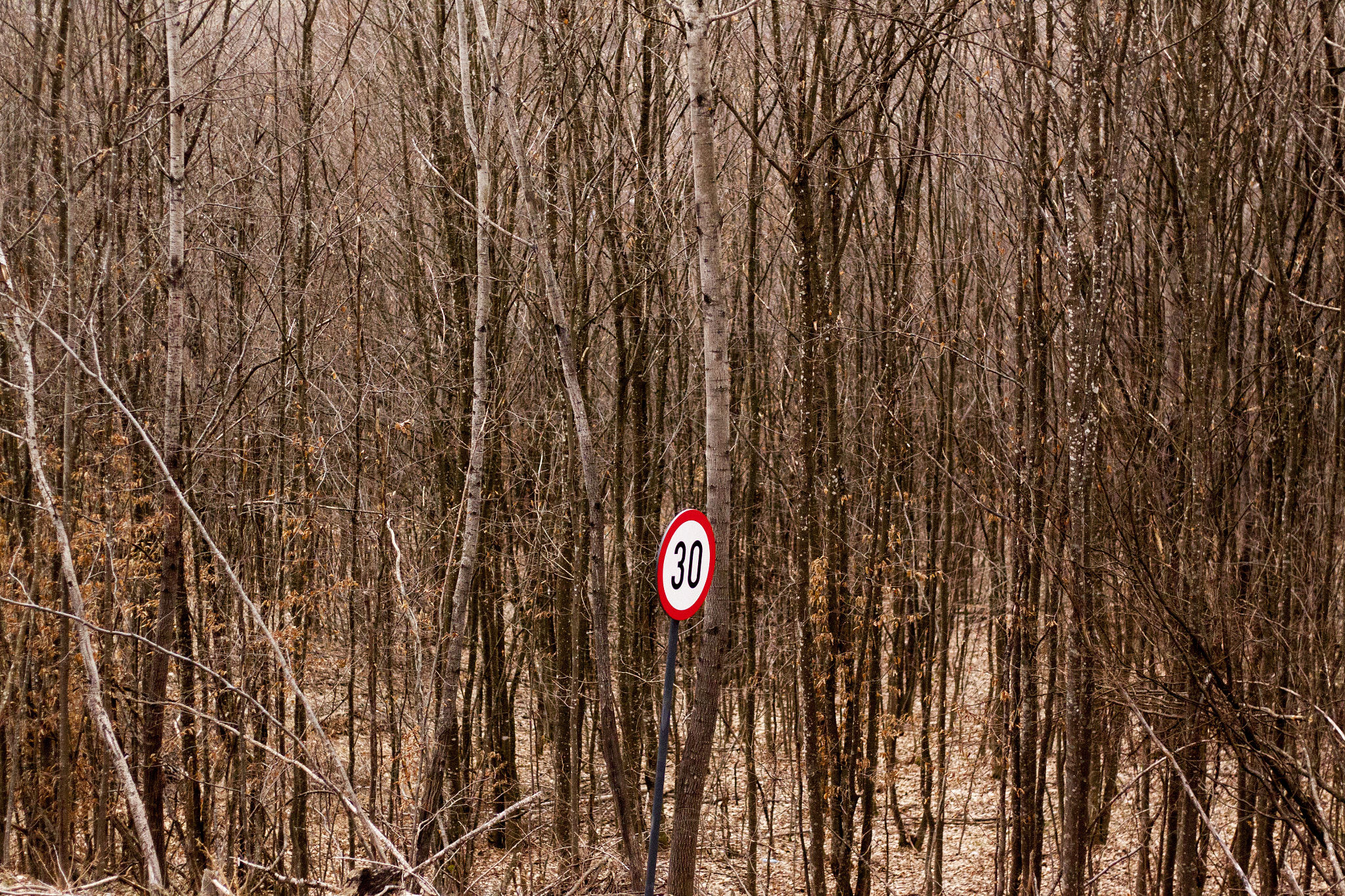 Canon EOS 50D + Canon EF 50mm F1.8 STM sample photo. 30 photography