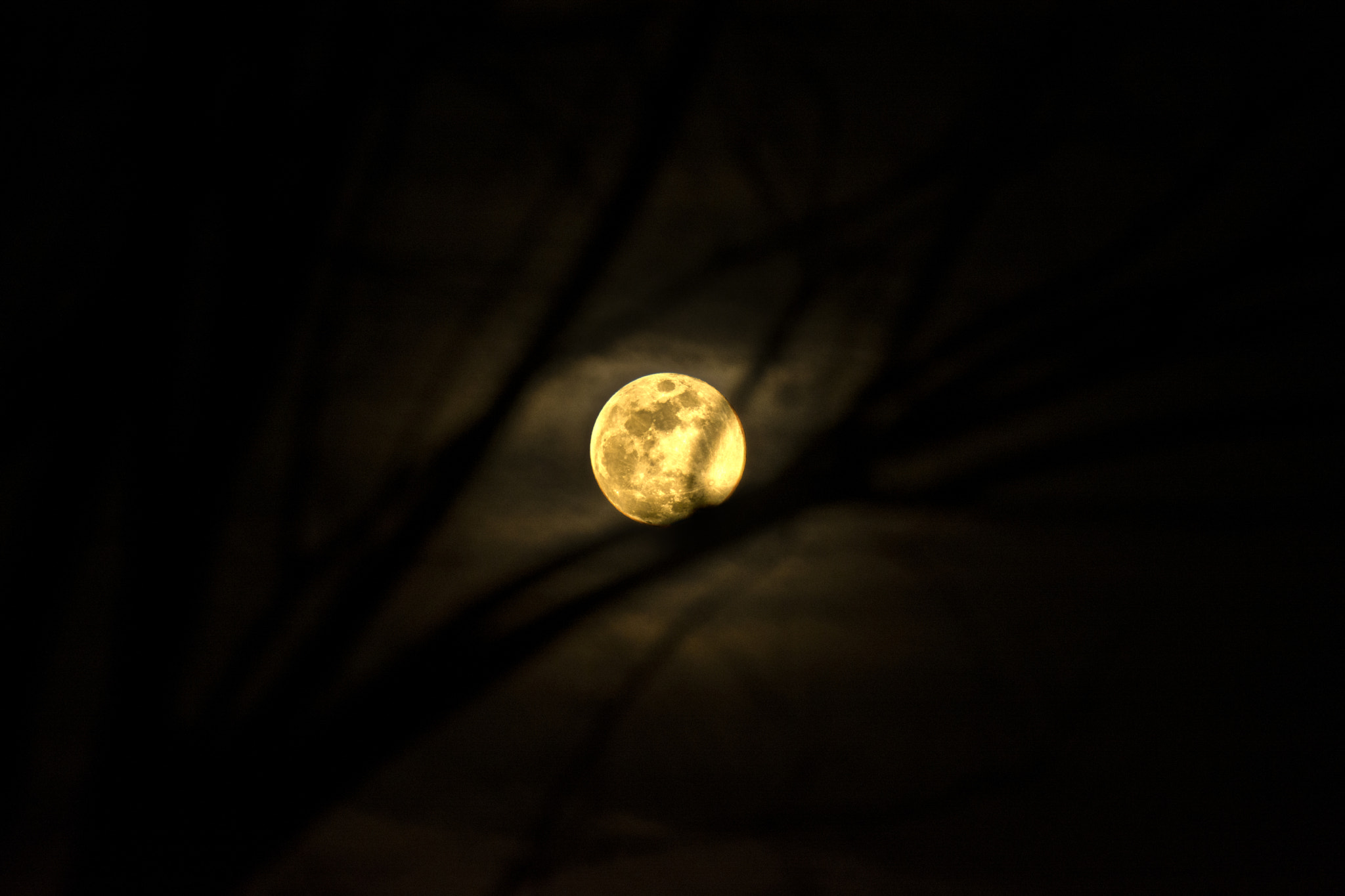 Nikon D5200 + Tamron SP 70-300mm F4-5.6 Di VC USD sample photo. Yellow moon on the rise photography