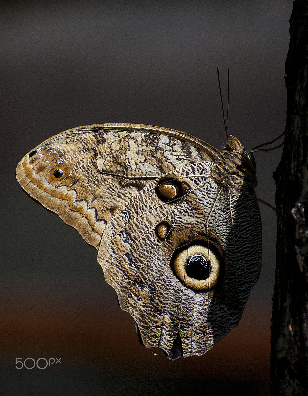 Nikon D40 sample photo. Fm photography