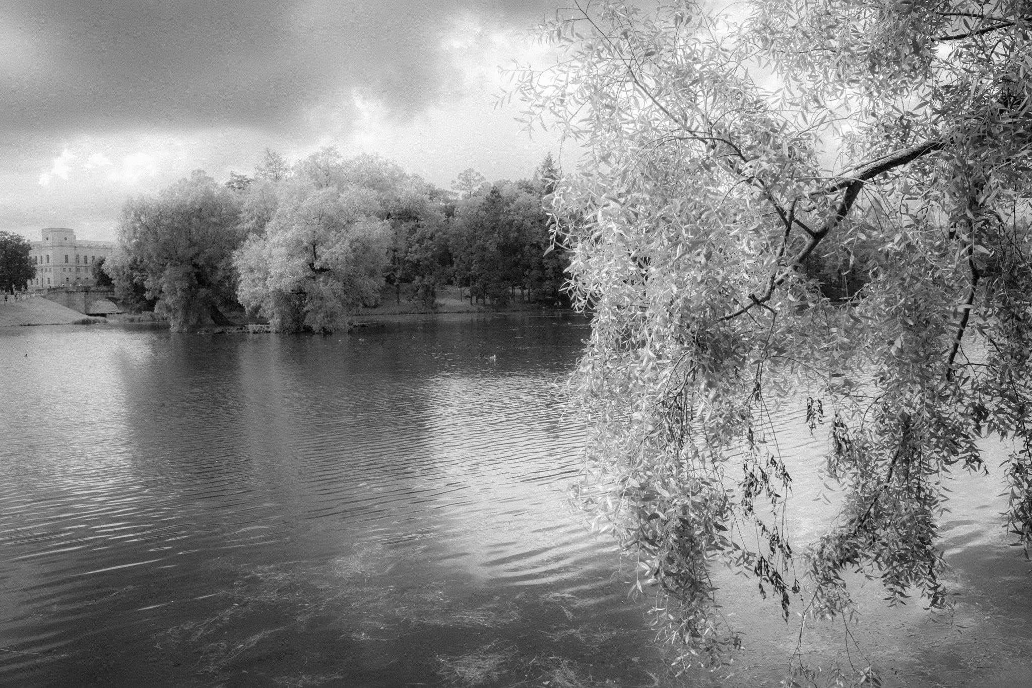 Sony Alpha NEX-7 + Sony E 18-55mm F3.5-5.6 OSS sample photo. Gatchina park photography