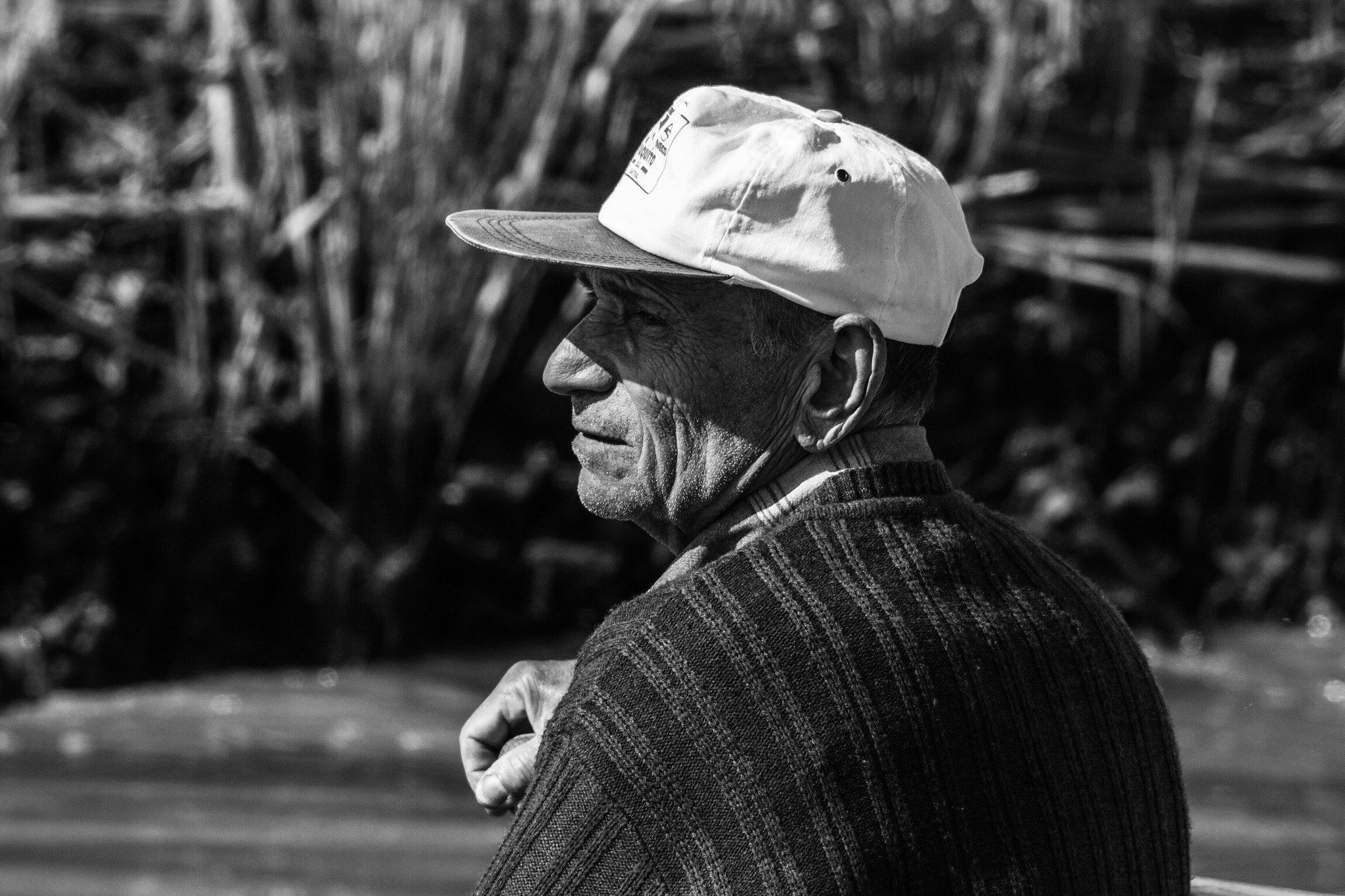 Sigma 70-300mm F4-5.6 APO DG Macro sample photo. La edad es un grado... photography