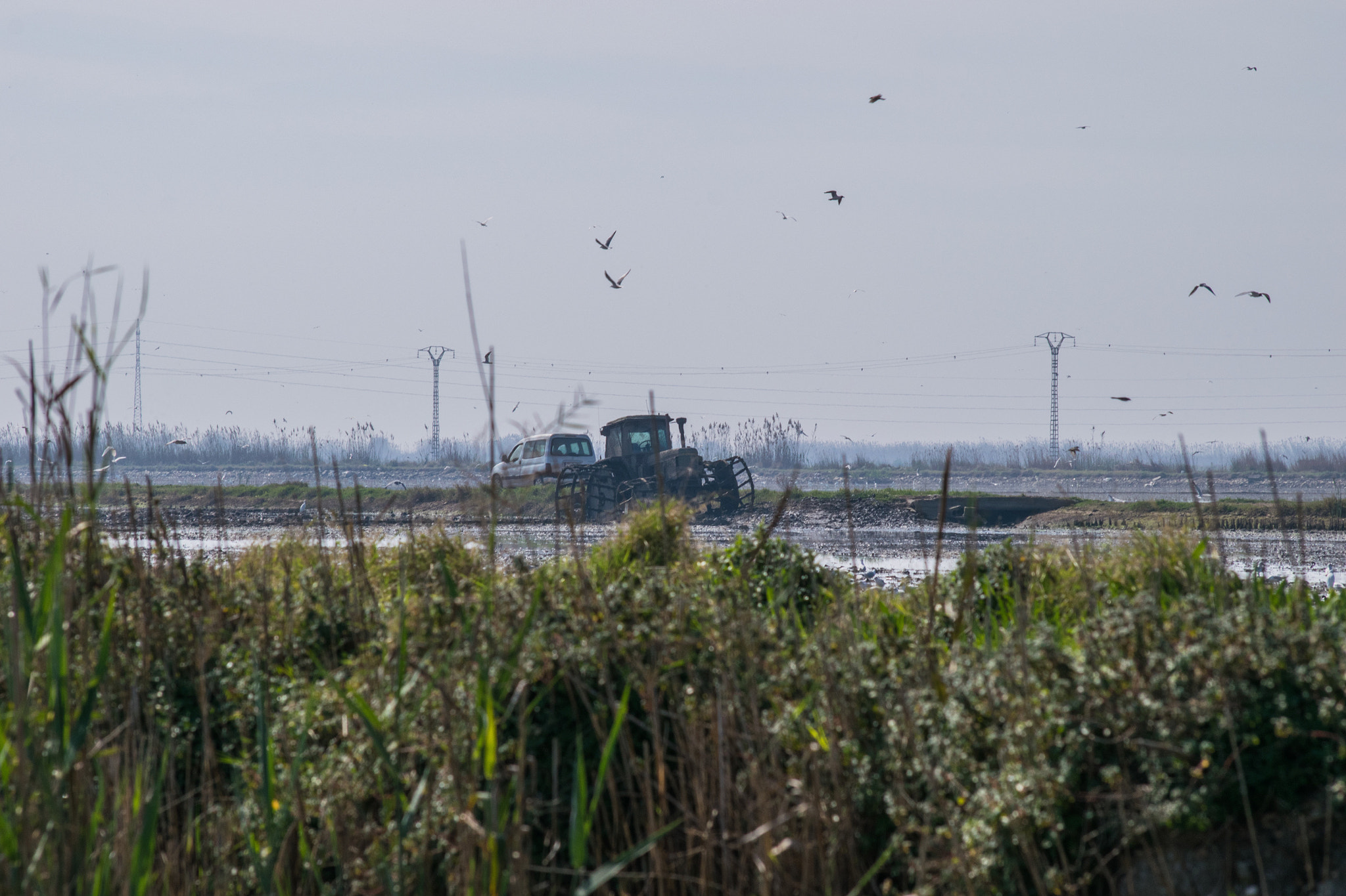 Sigma 70-300mm F4-5.6 APO DG Macro sample photo. Albufera de valencia photography