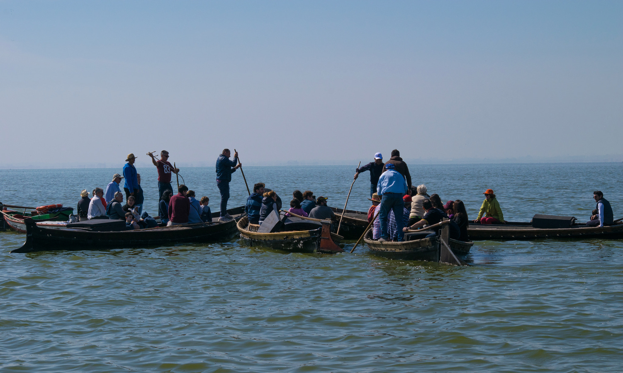 Sigma 70-300mm F4-5.6 APO DG Macro sample photo. Reunion en la albufera photography