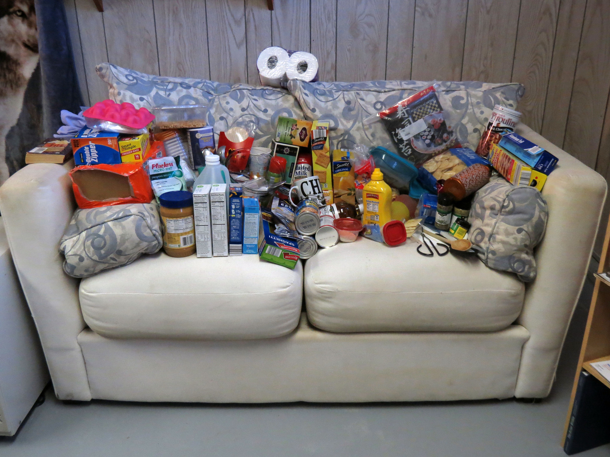 Living Out of the Couch