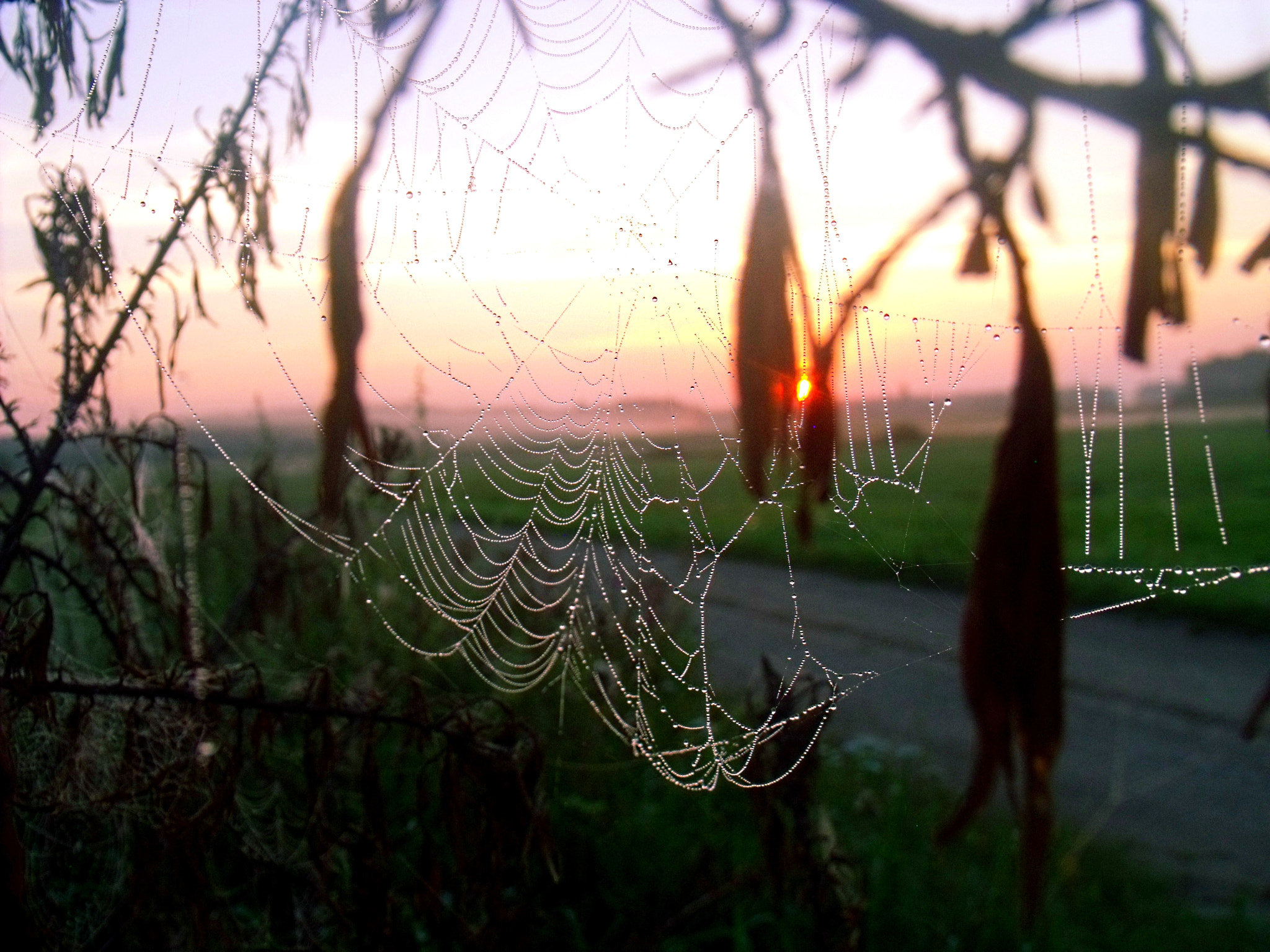 Fujifilm FinePix S1500 sample photo. Calm morning photography