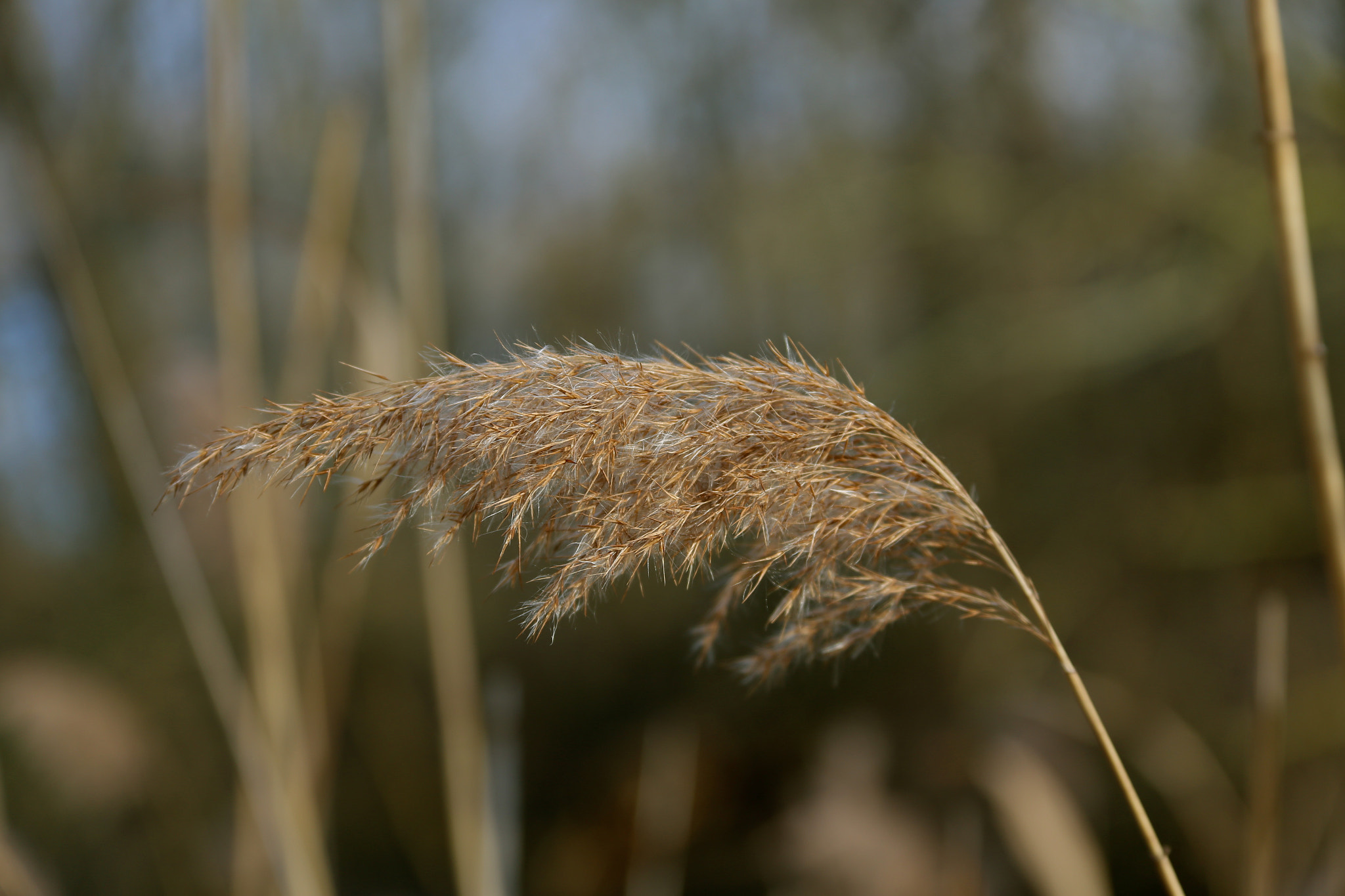 Canon EOS 6D sample photo. Berlin - mitte photography