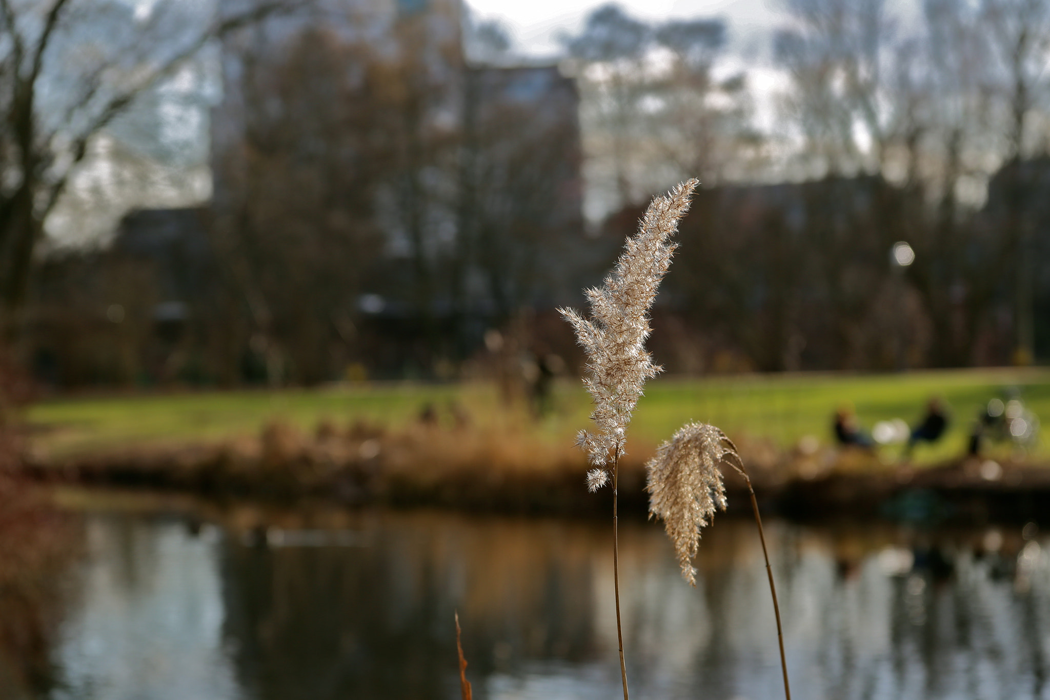 Canon EOS 6D sample photo. Berlin - mitte photography