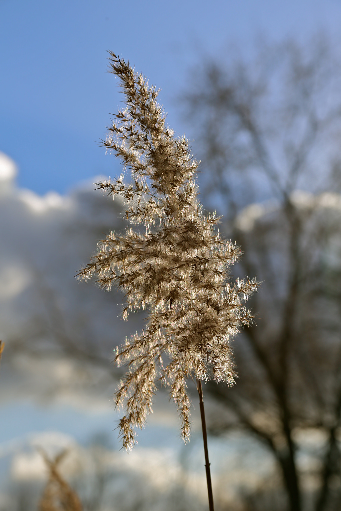 Canon EOS 6D sample photo. Berlin - mitte photography