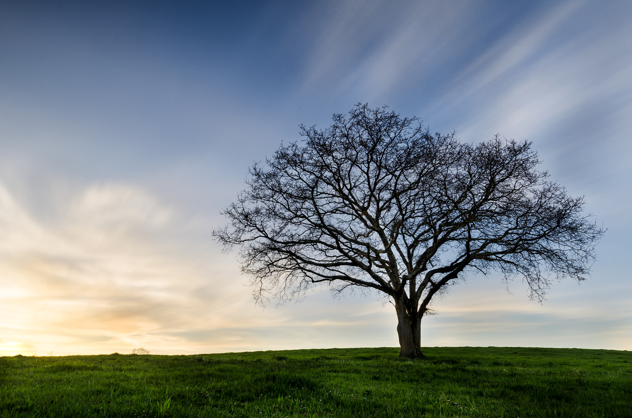 Nikon AF-S Nikkor 14-24mm F2.8G ED sample photo. Abegondo photography