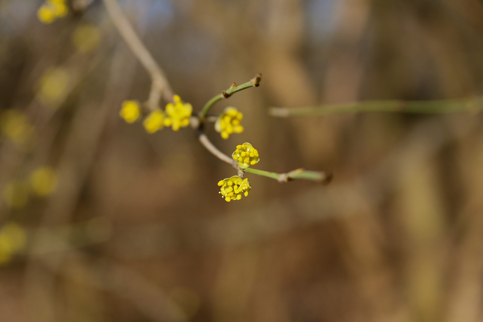 Canon EOS 6D sample photo. Berlin - mitte photography