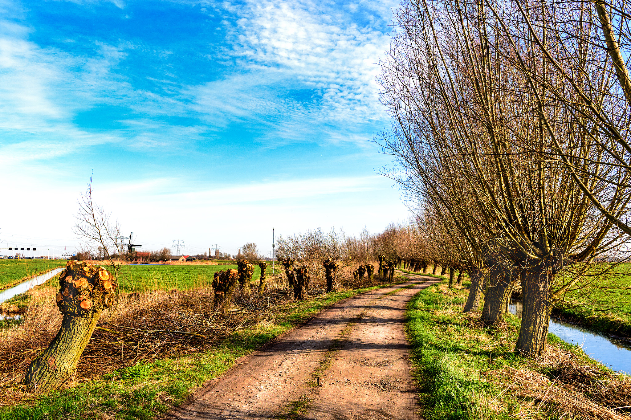 Nikon D4S sample photo. Private road to the windmill ! photography
