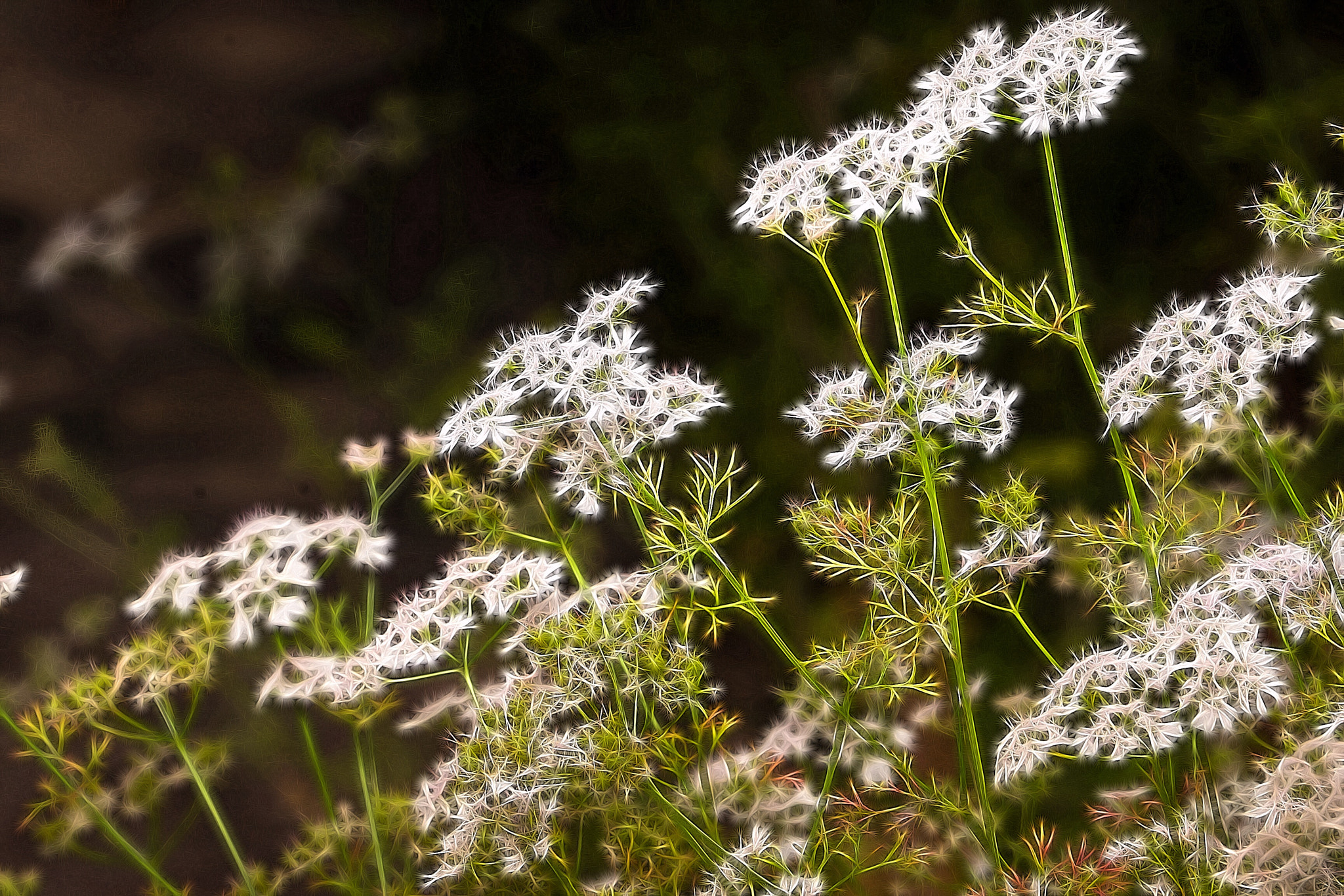 Sony Alpha NEX-7 sample photo. ... photography