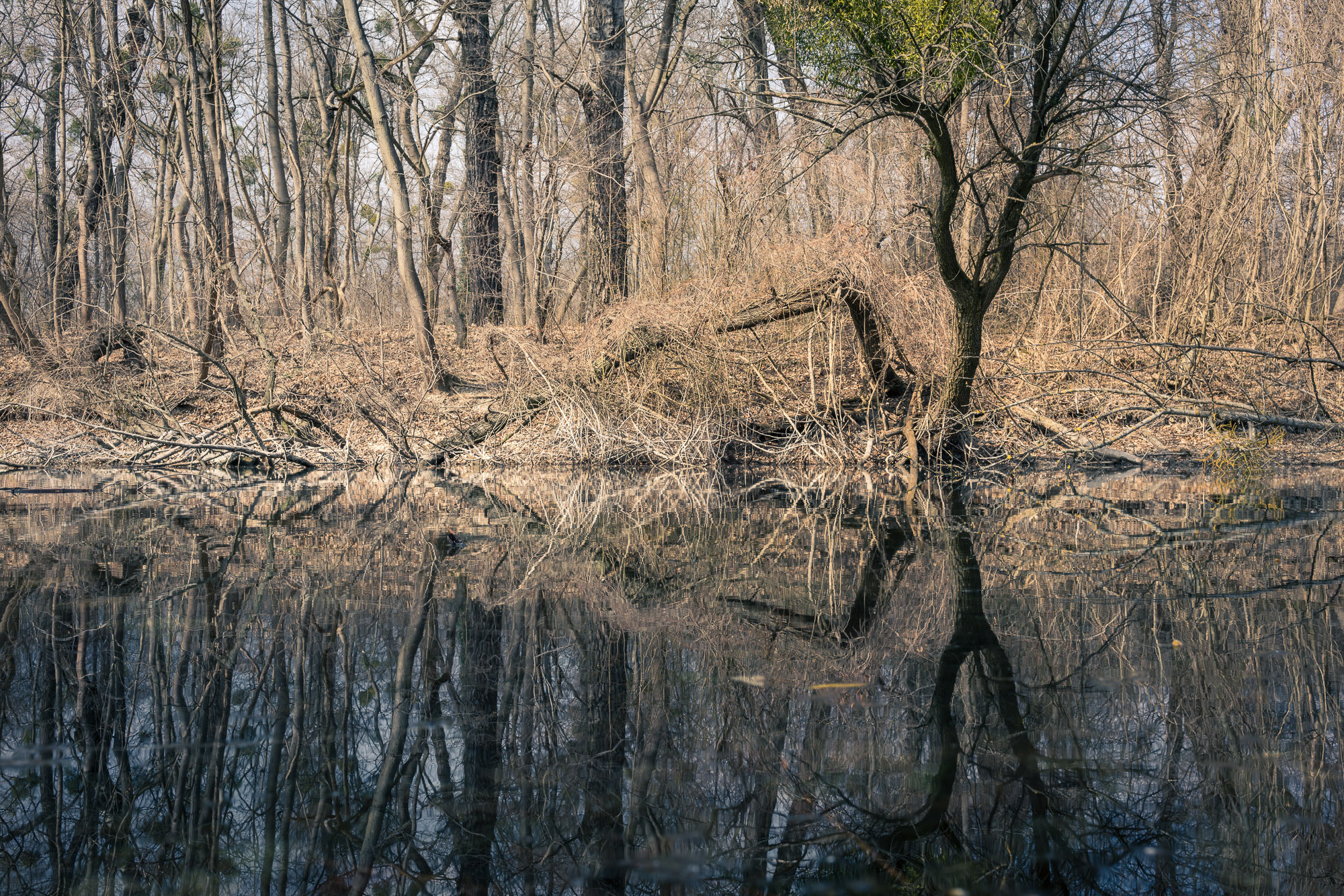 E 35mm F2 sample photo. Beim heustadlwasser photography