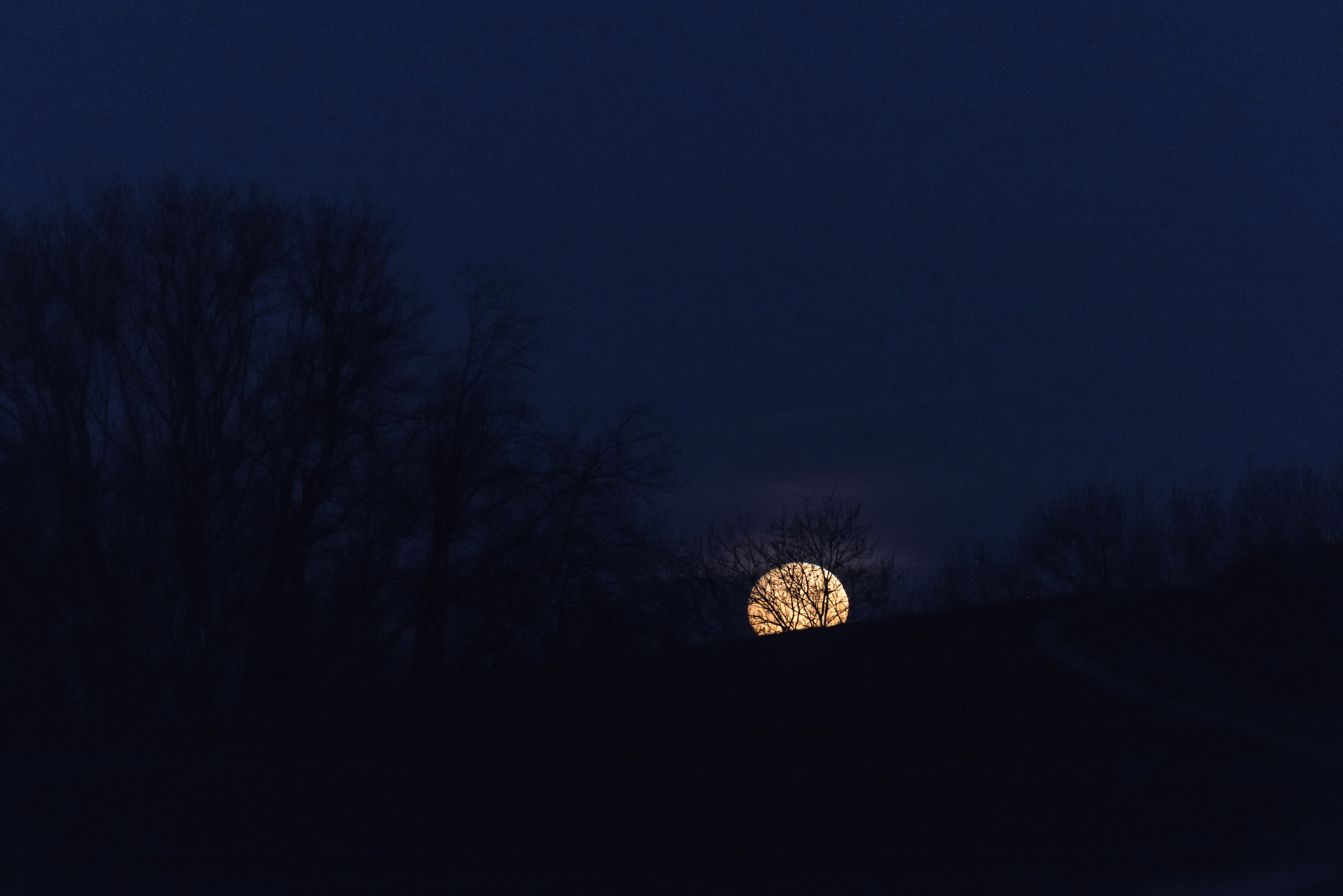 Sigma 150-600mm F5-6.3 DG OS HSM | S sample photo. Moonset photography