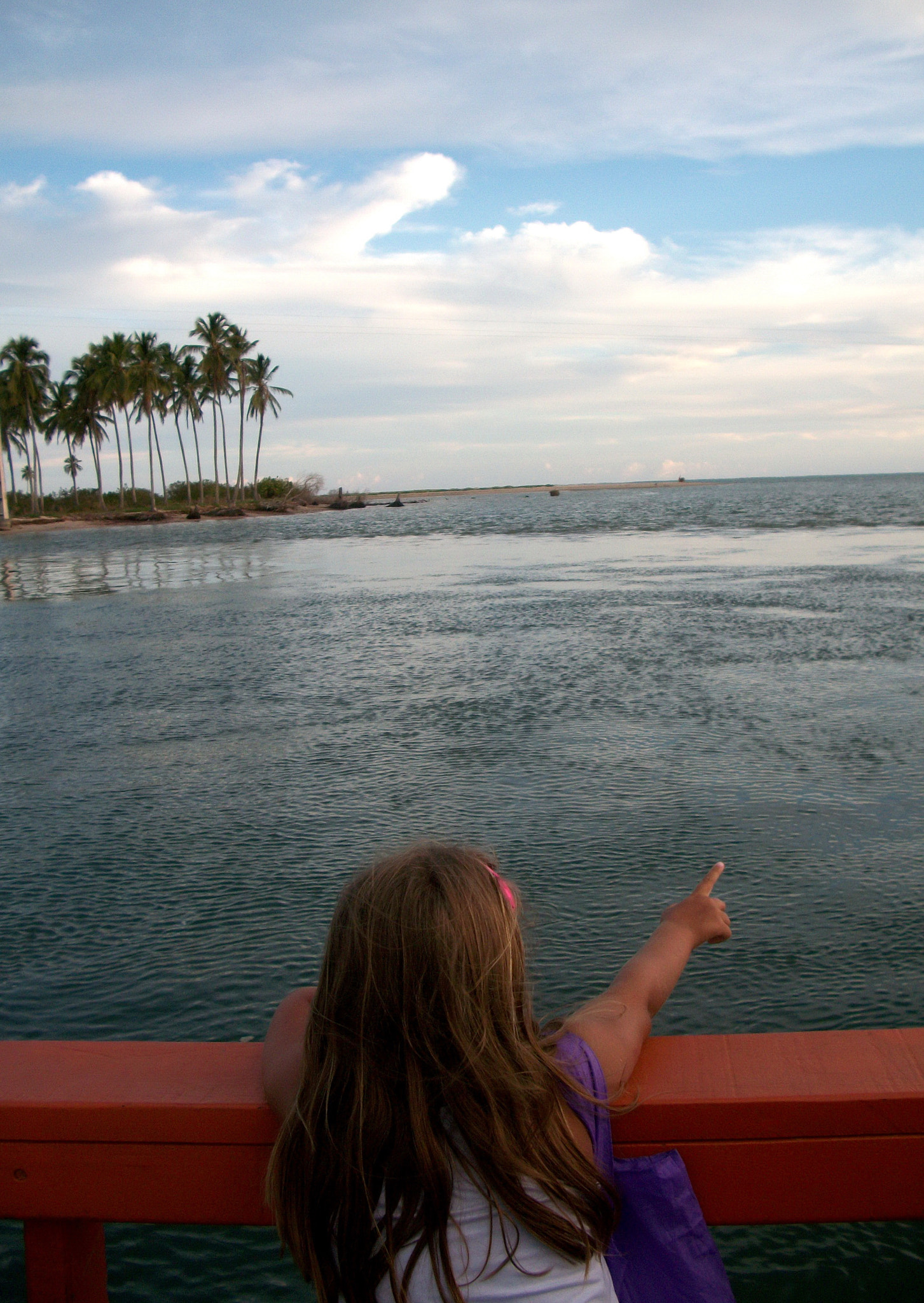 Kodak EASYSHARE M340 DIGITAL CAMERA sample photo. On the ferryboat photography