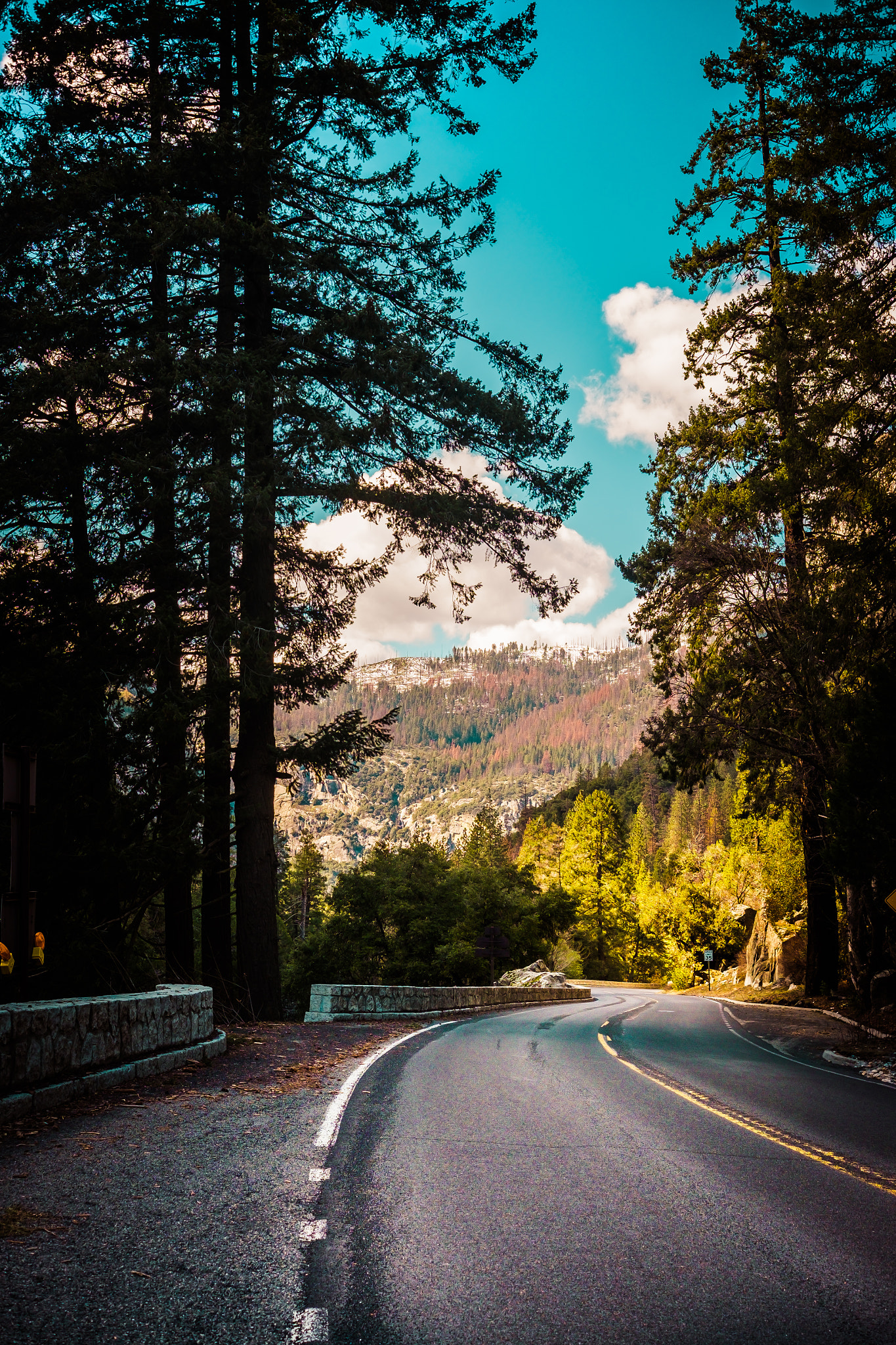 Fujifilm XF 27mm F2.8 sample photo. Yosemite canyon road photography